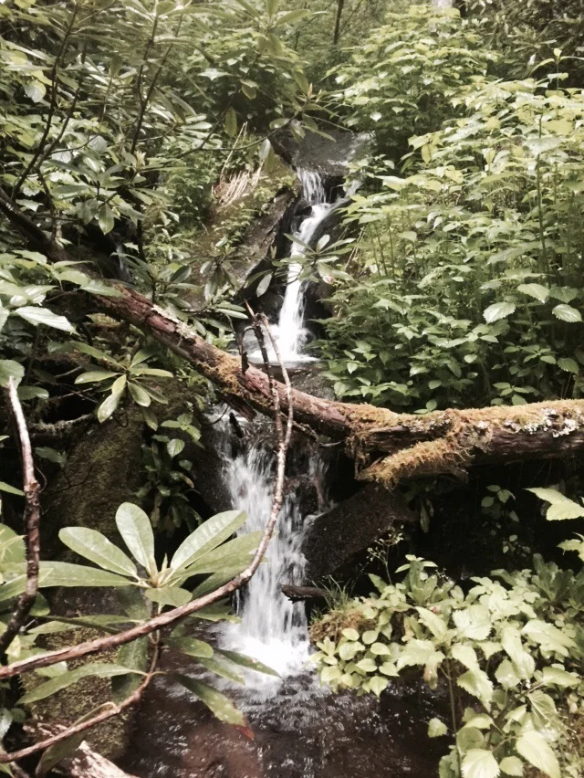 Chasteen Creek Trail is pretty too!