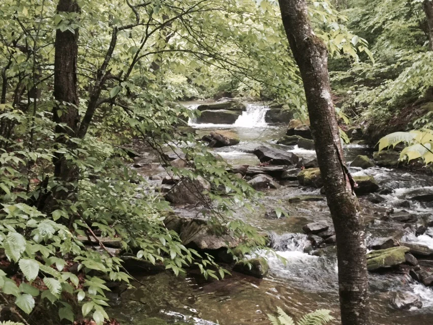Beaverkill Stream.