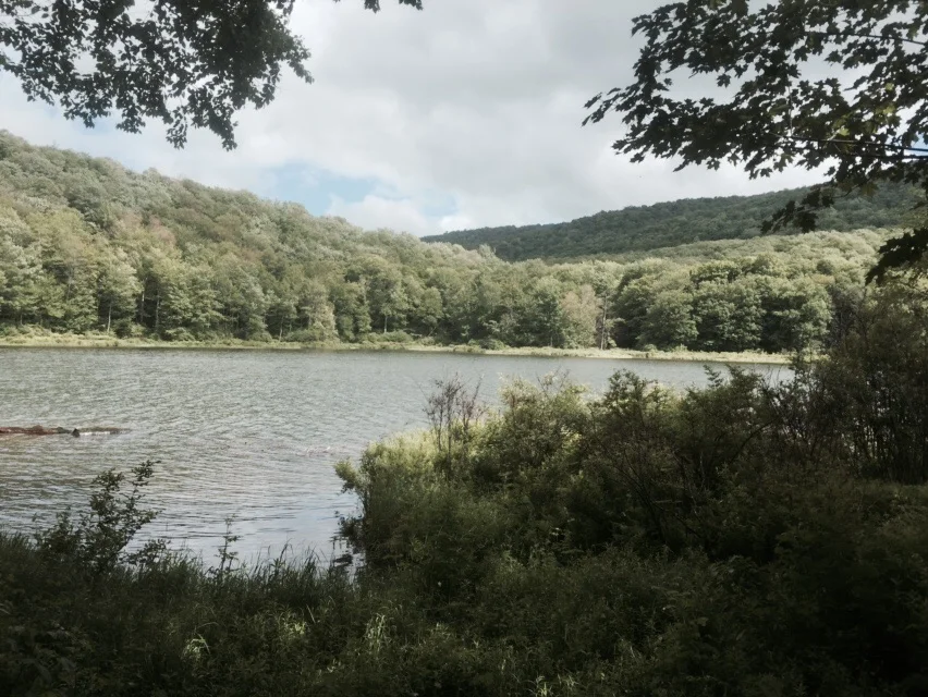 The view from Alder Lake- we saw two Bald Eagles here!