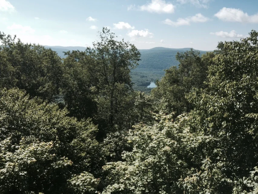 The view from Beech Hill ooking at Little Pond. 