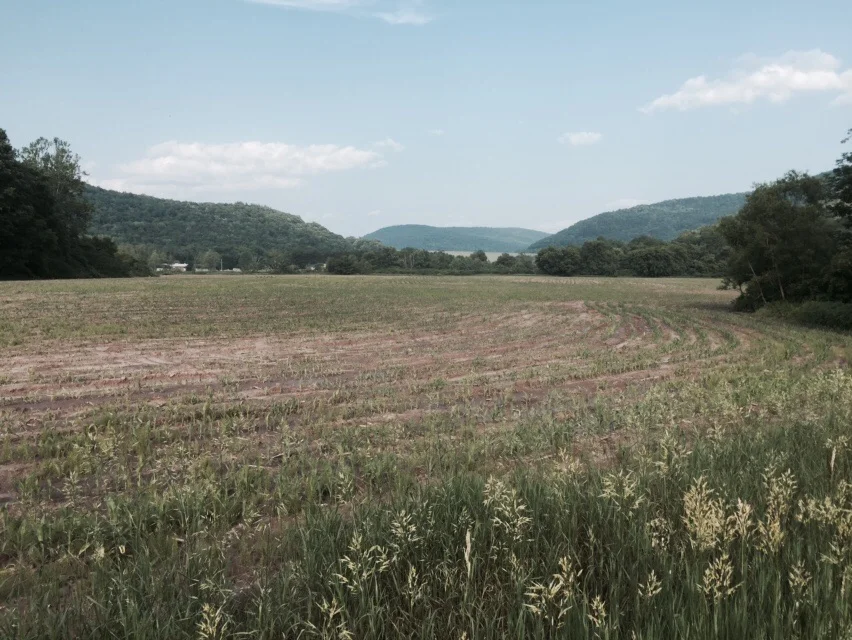 Walking into Downsville, NY