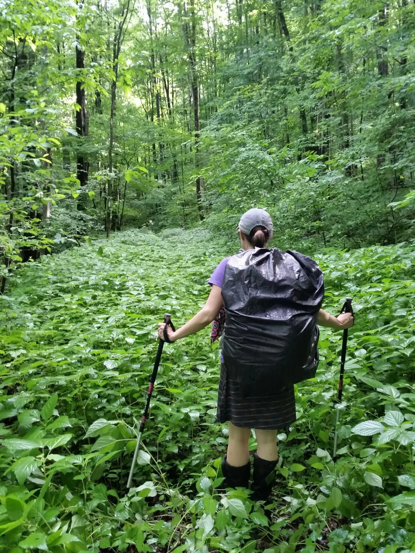 Stinging nettle bushwhacking time!