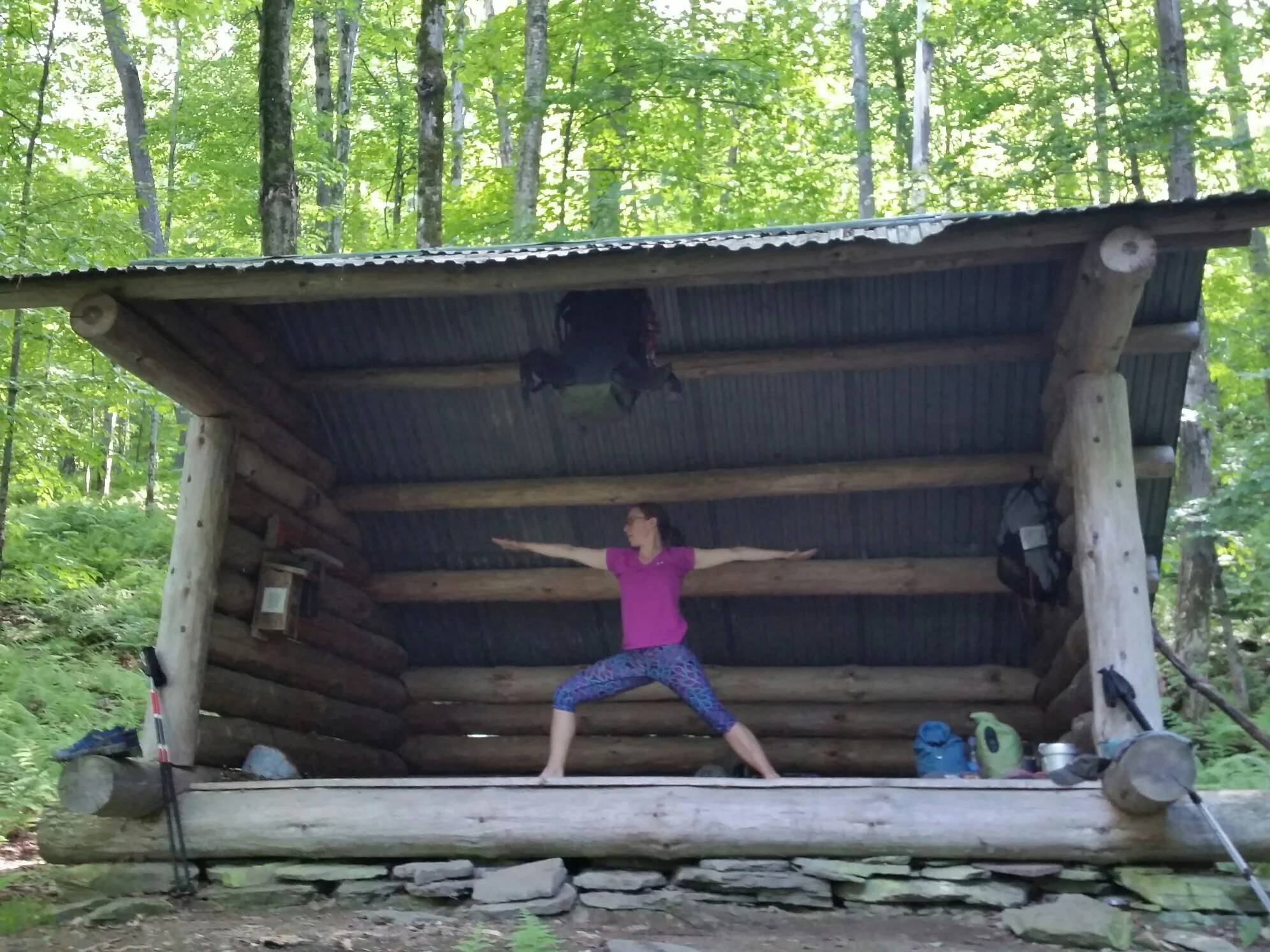 Warrior 2 takes root in Cold Spring Shelter