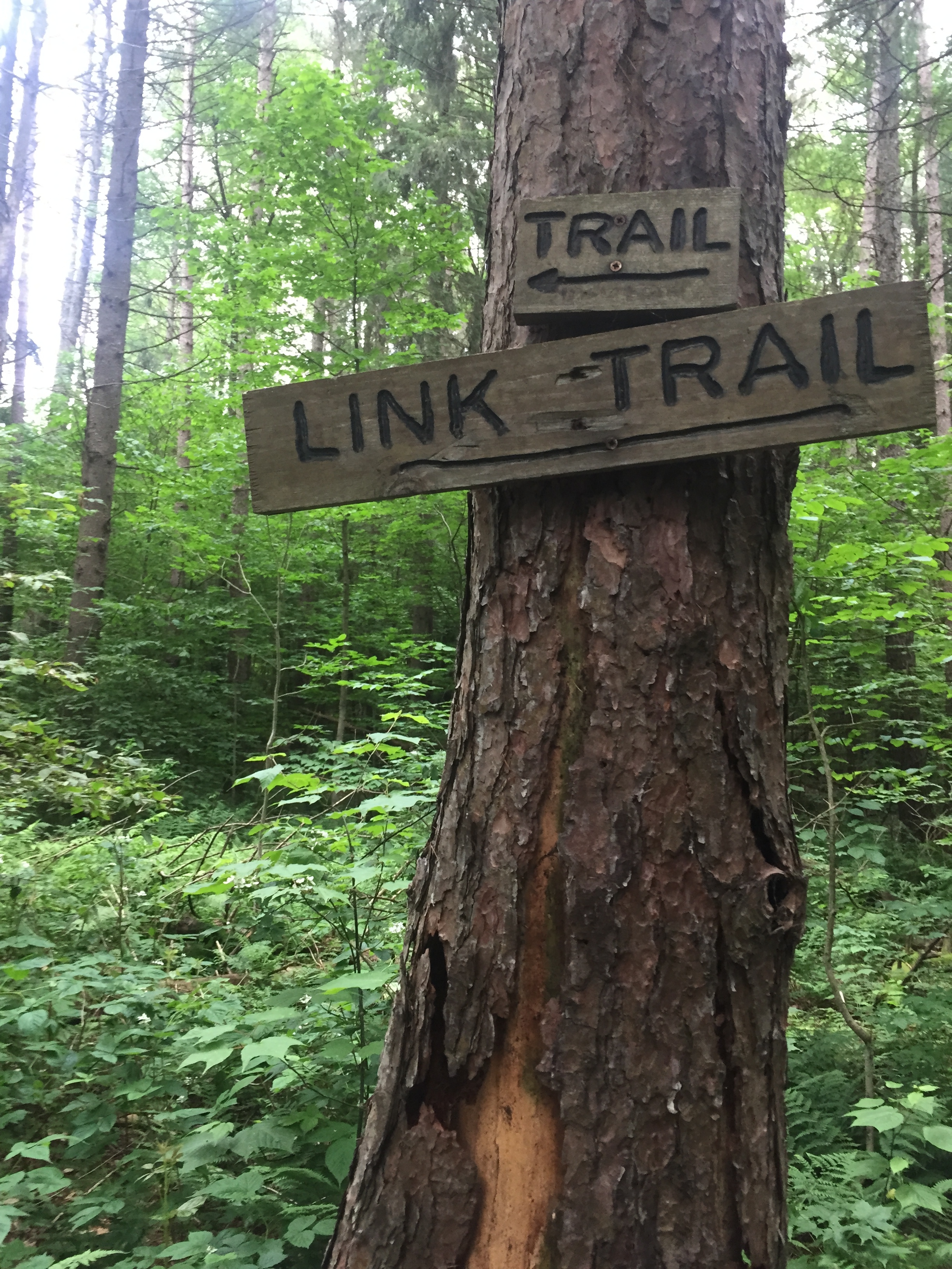 Where the Adirondacks can meet the FLT. 