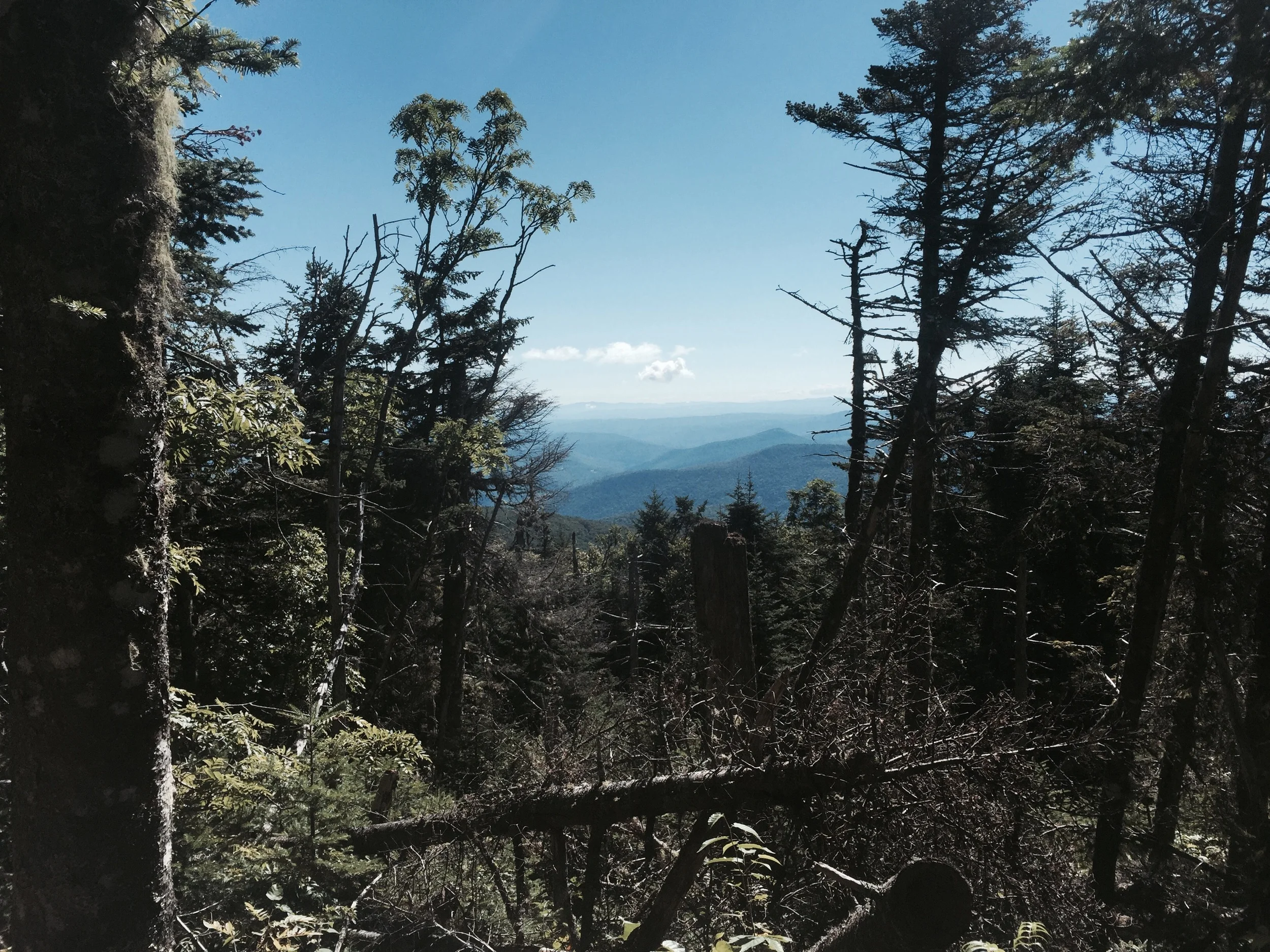 Looking east- I could count five ridge lines when I was looking out that way!