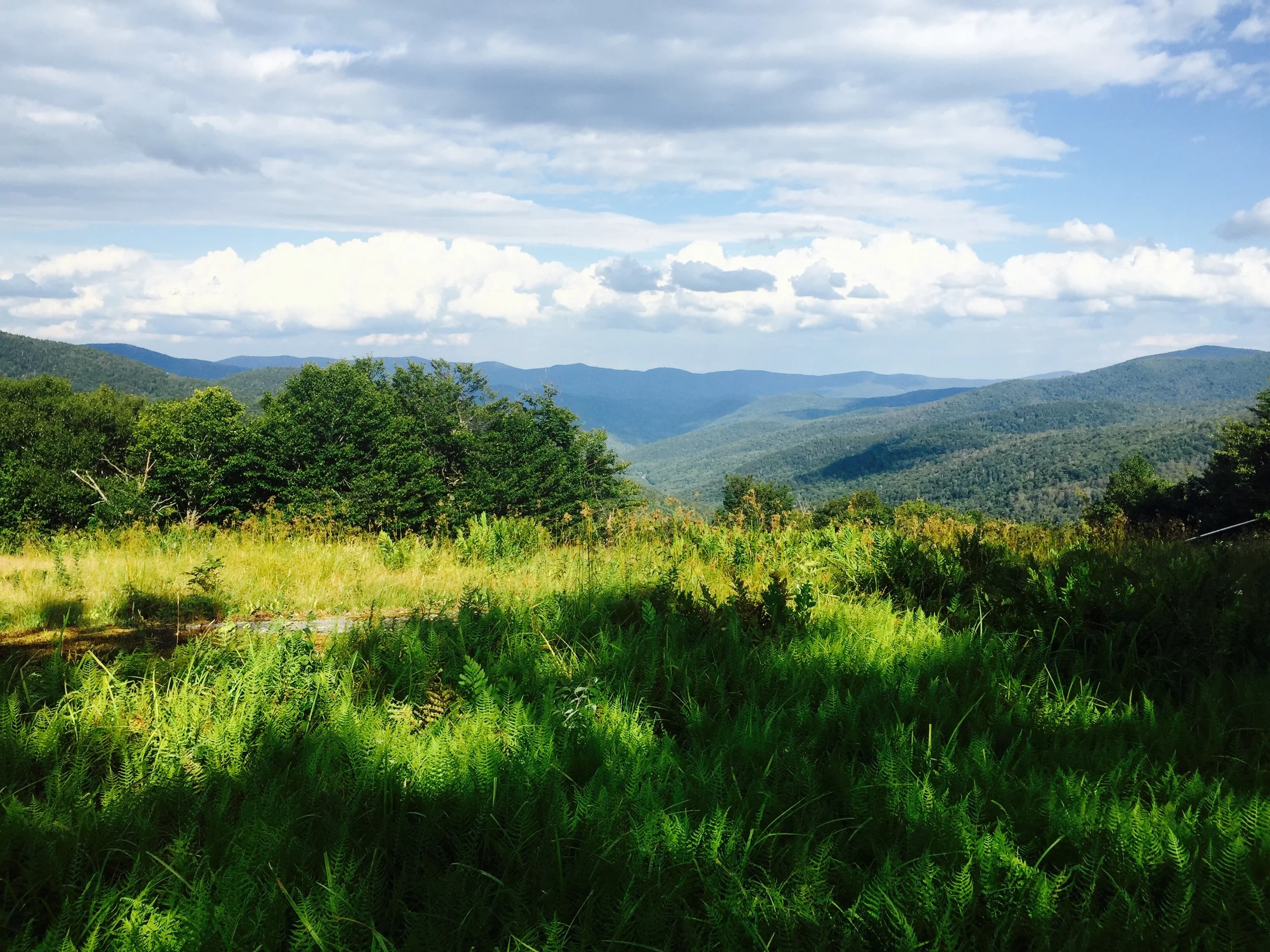 The view from a ski slope