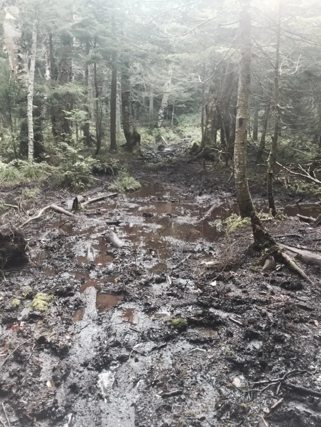 Oh, this is Vermont?