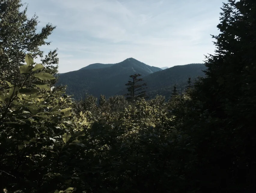 The view of Madonna Peak and the Nose of Mansfield from the Whiteface shelter.