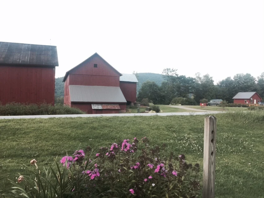 A few more of the farm buildings at Nye Valley Farm.