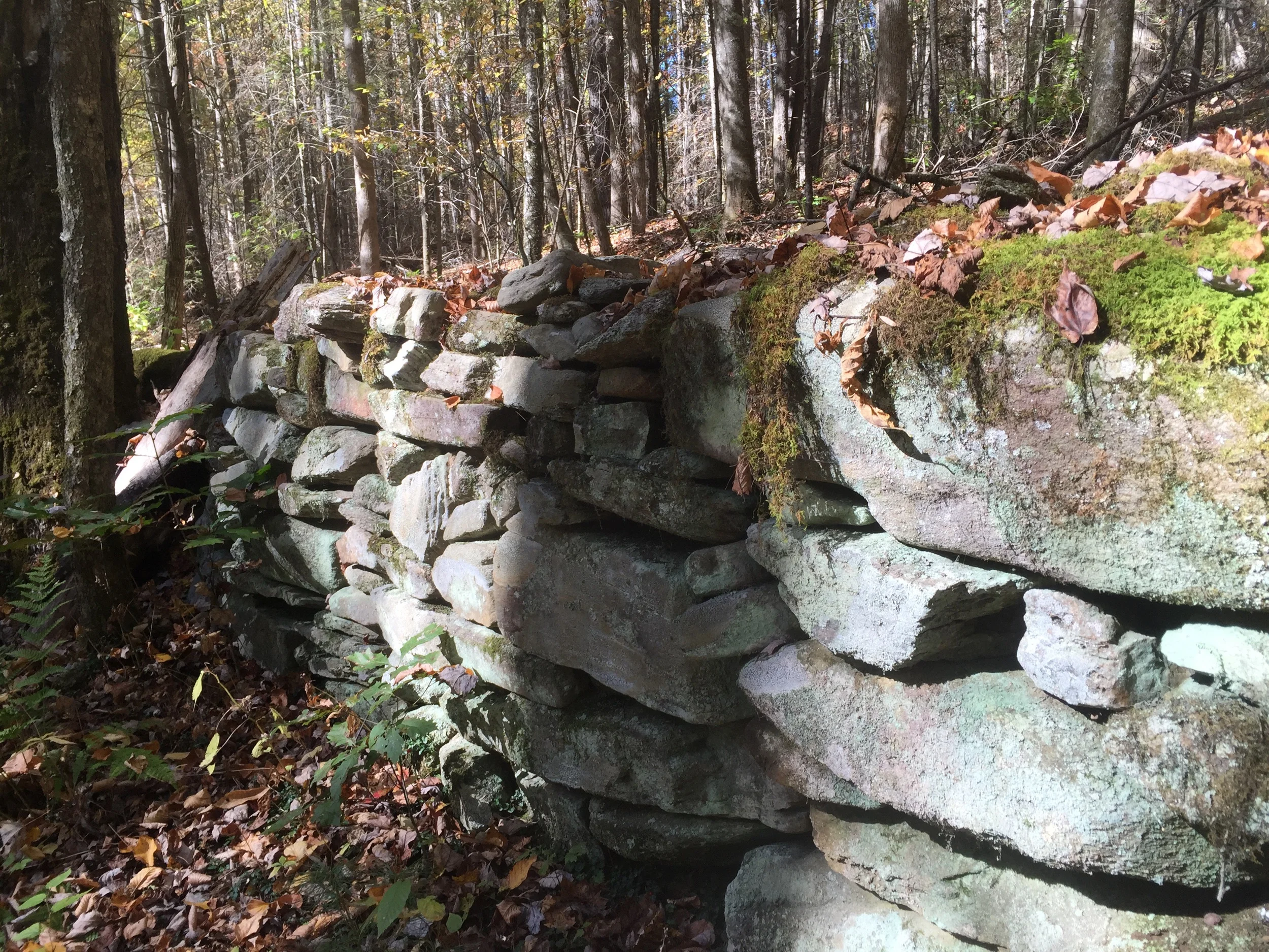 A stone wall on the Boogerman Loop hike.