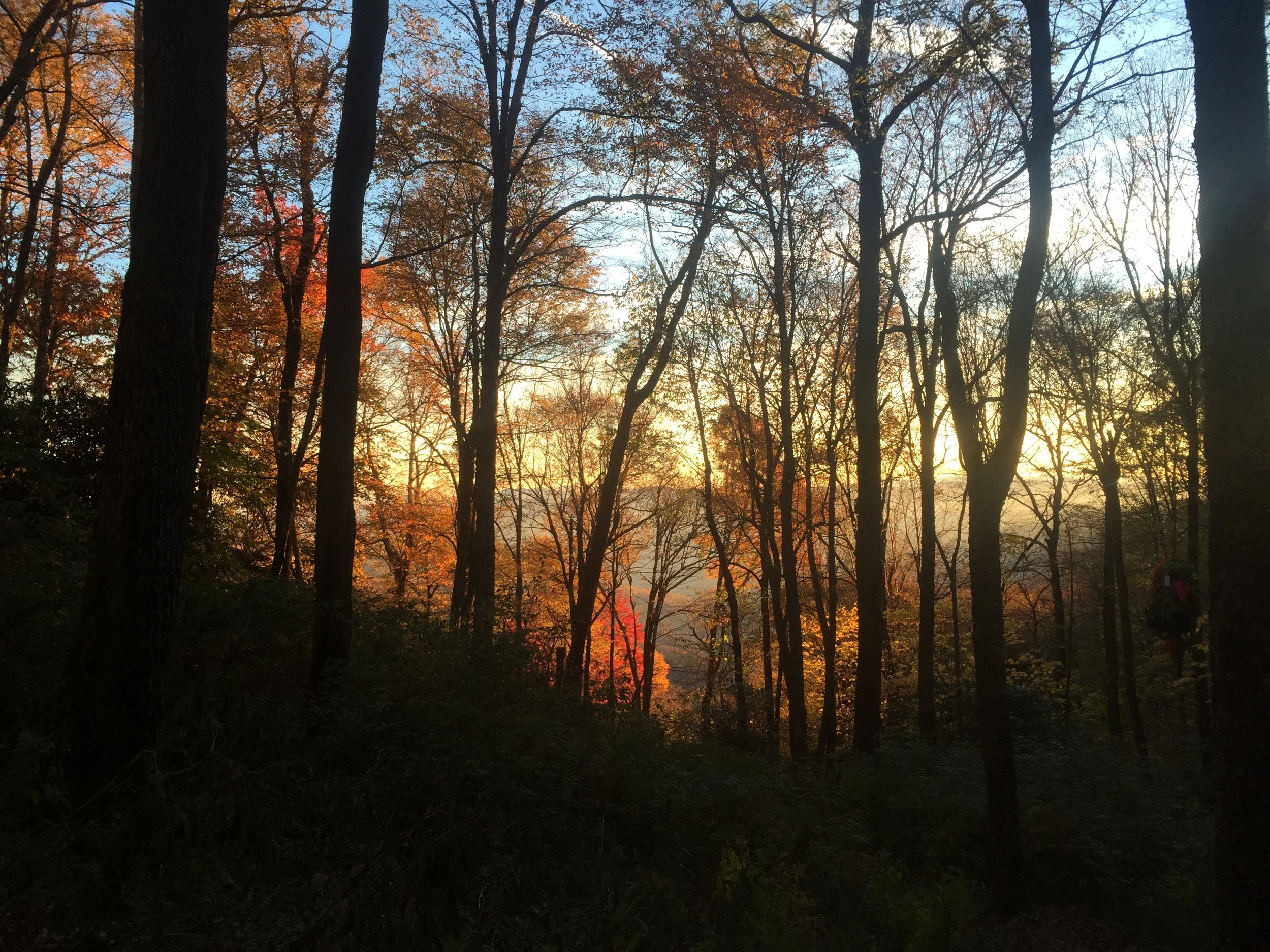 A stunning sunset from Cosby Knob