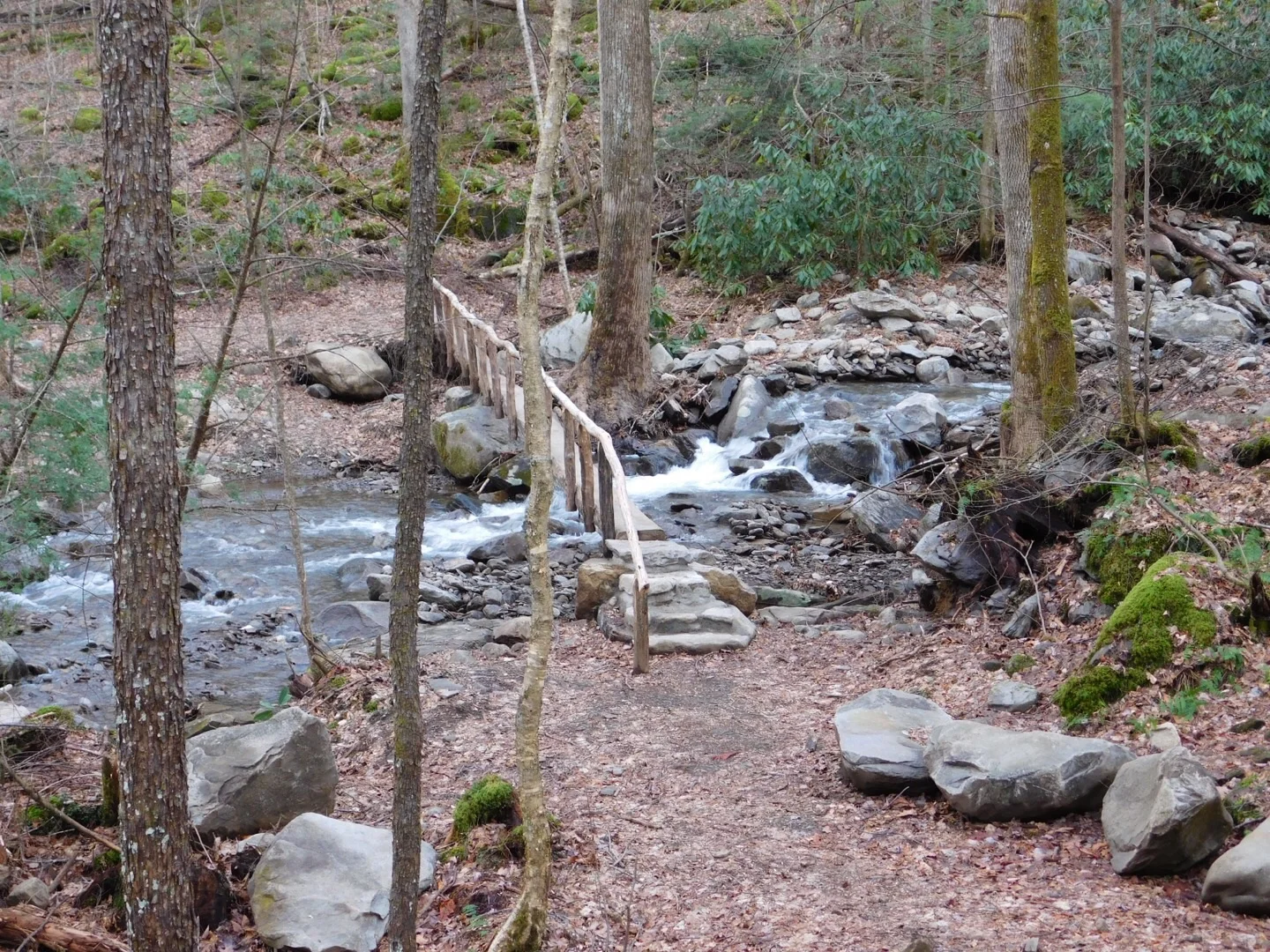 The foot bridge near the trailhead.