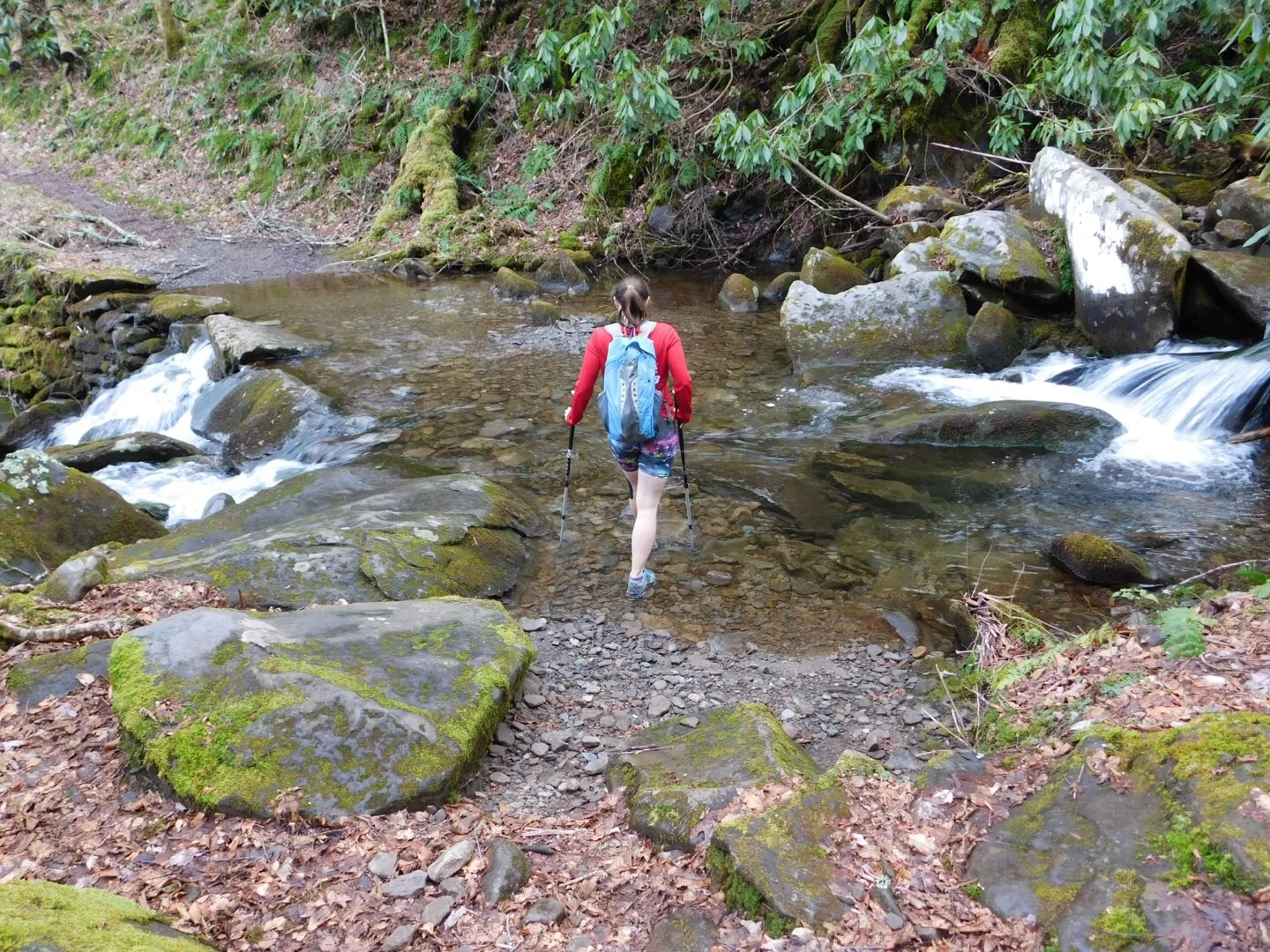 Crossing the stream.