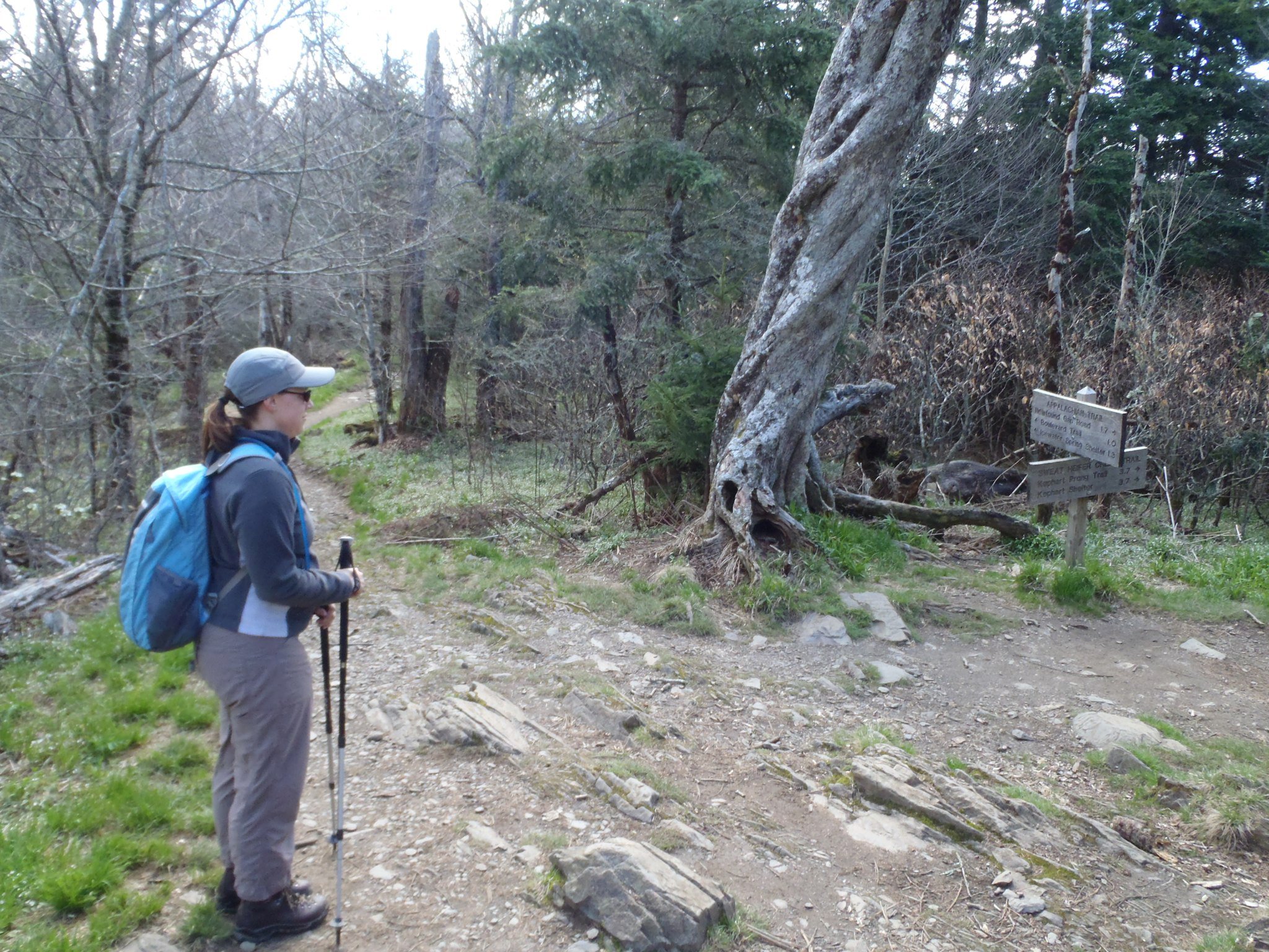 Hiking on the Appalachian Trail in the Spring of 2011 - thinking how hard it would be to go all the way to Maine one day!