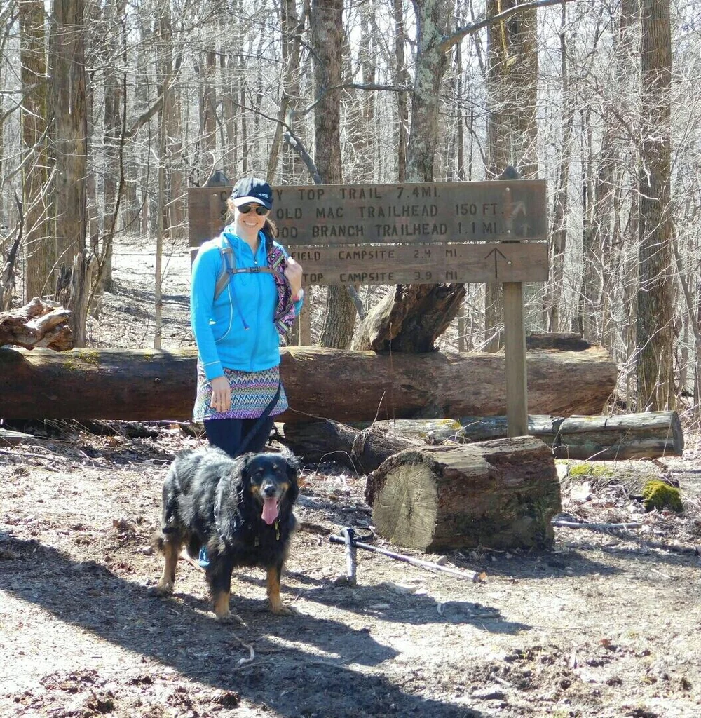 Are Dogs Allowed At Frozen Head State Park
