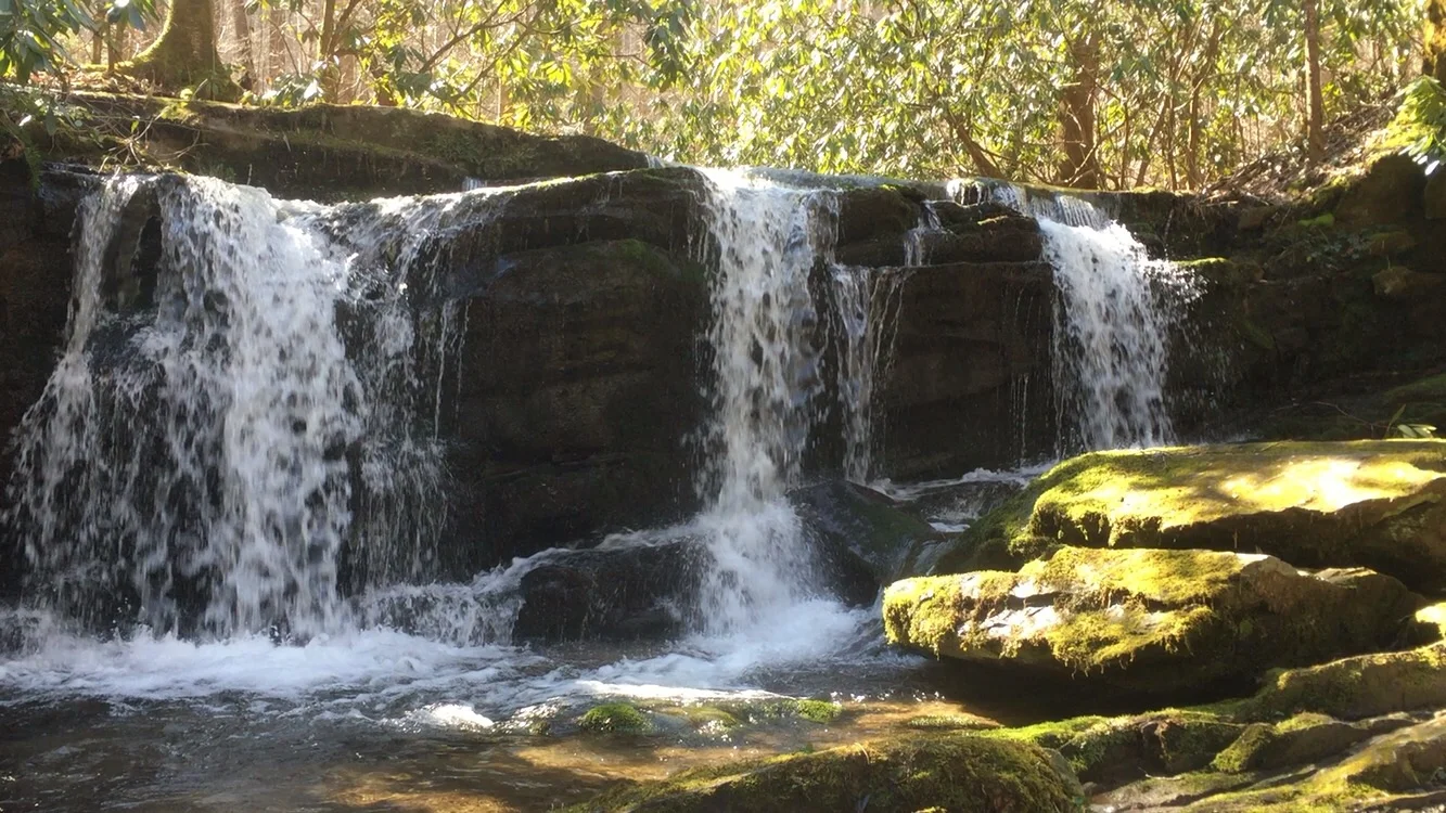 A sunny hike to a waterfall!