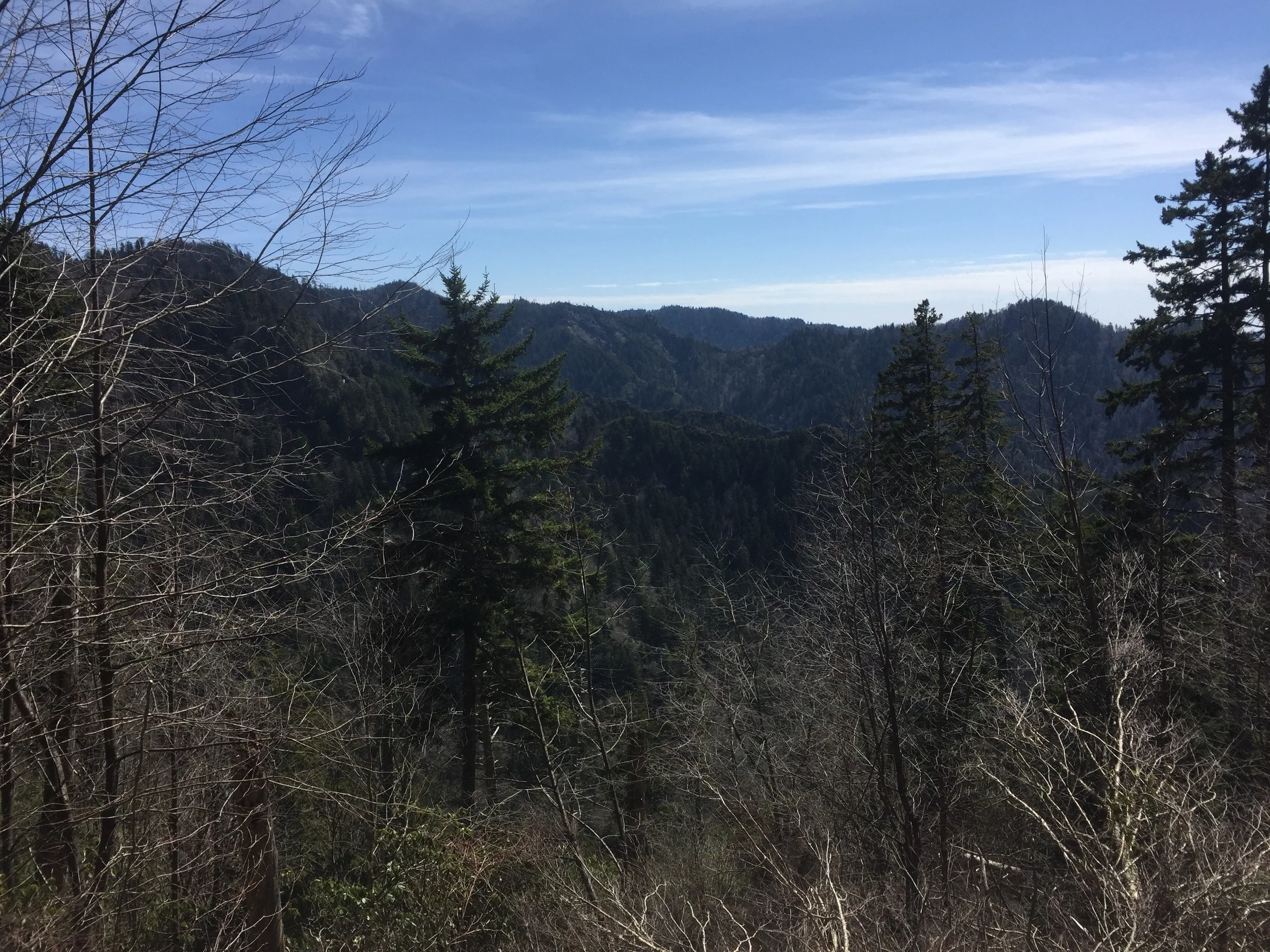 A view of the AT from the Alum Cave Trail.