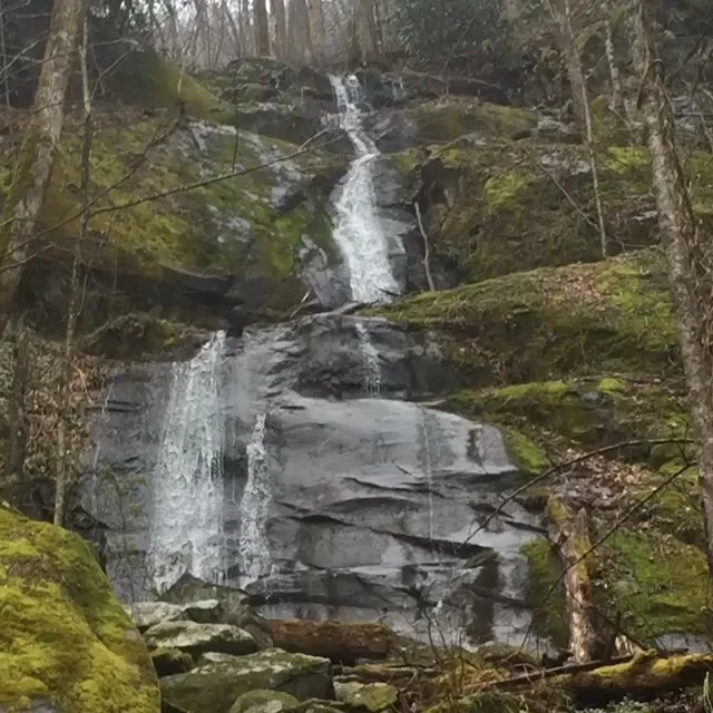 Fern Branch Falls in the rain.