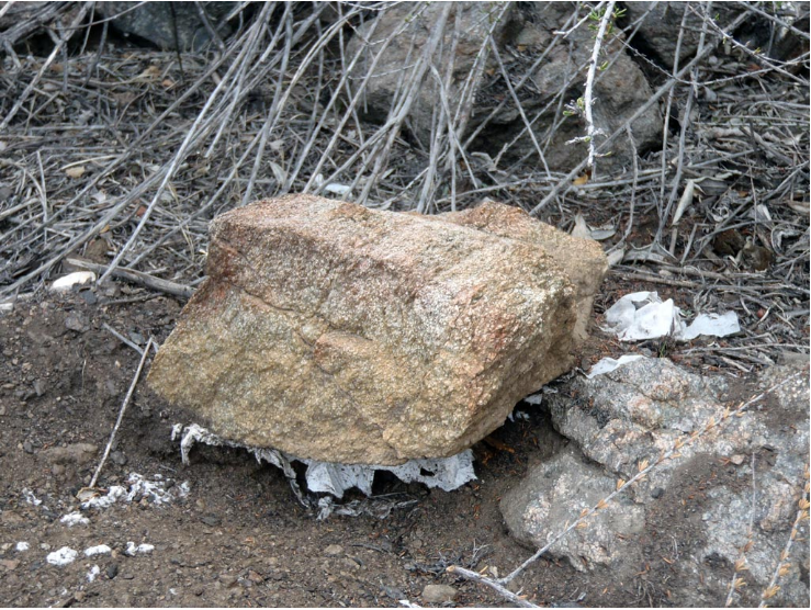 Toilet trash under a rock on the PCT. (Photo from the PCTA website ). 