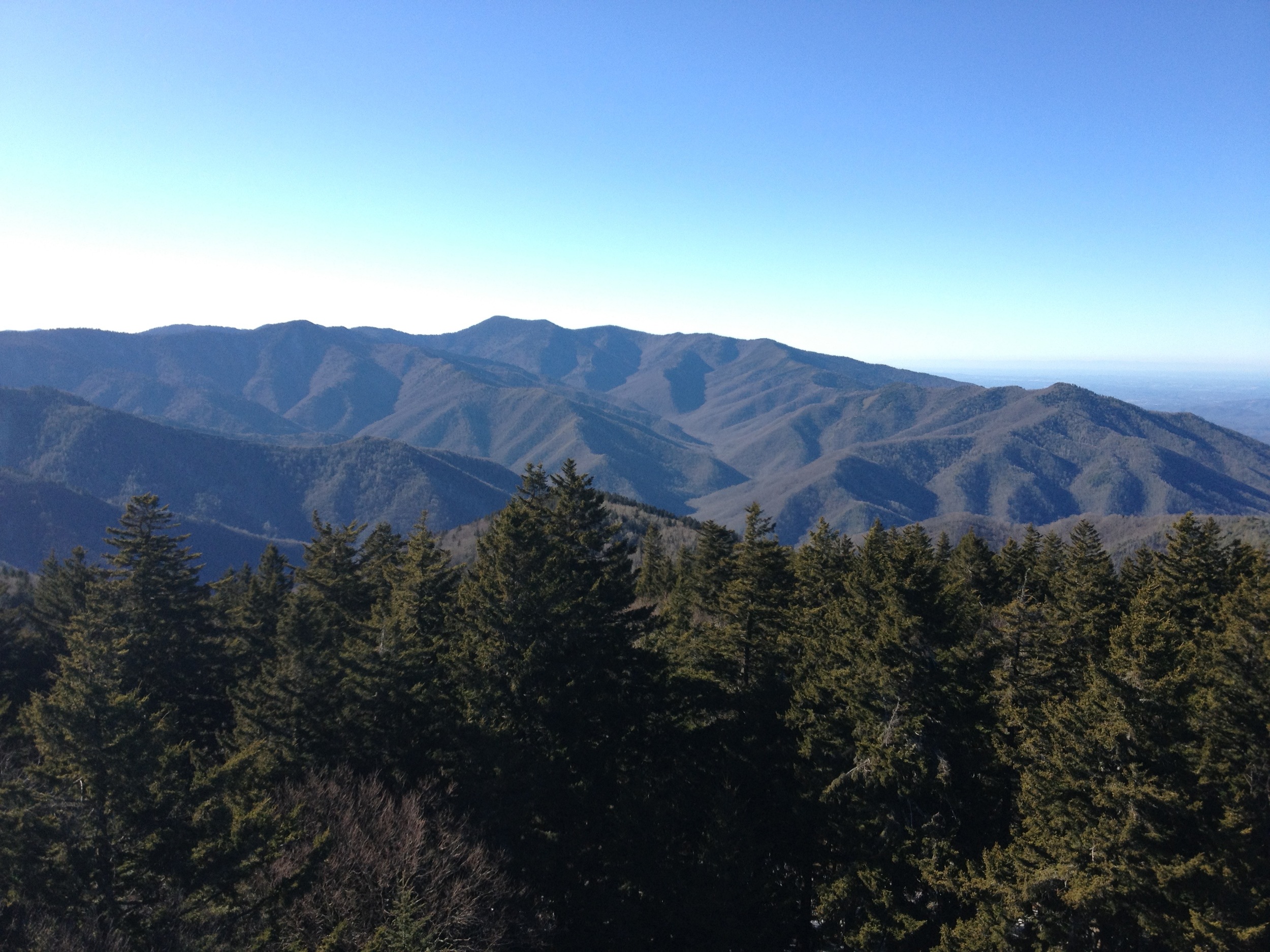 Looking at the AT from Mt. Sterling on a winter day - the highest point is Mt. Guyot and the AT follows the ridge line down and out of the park. 