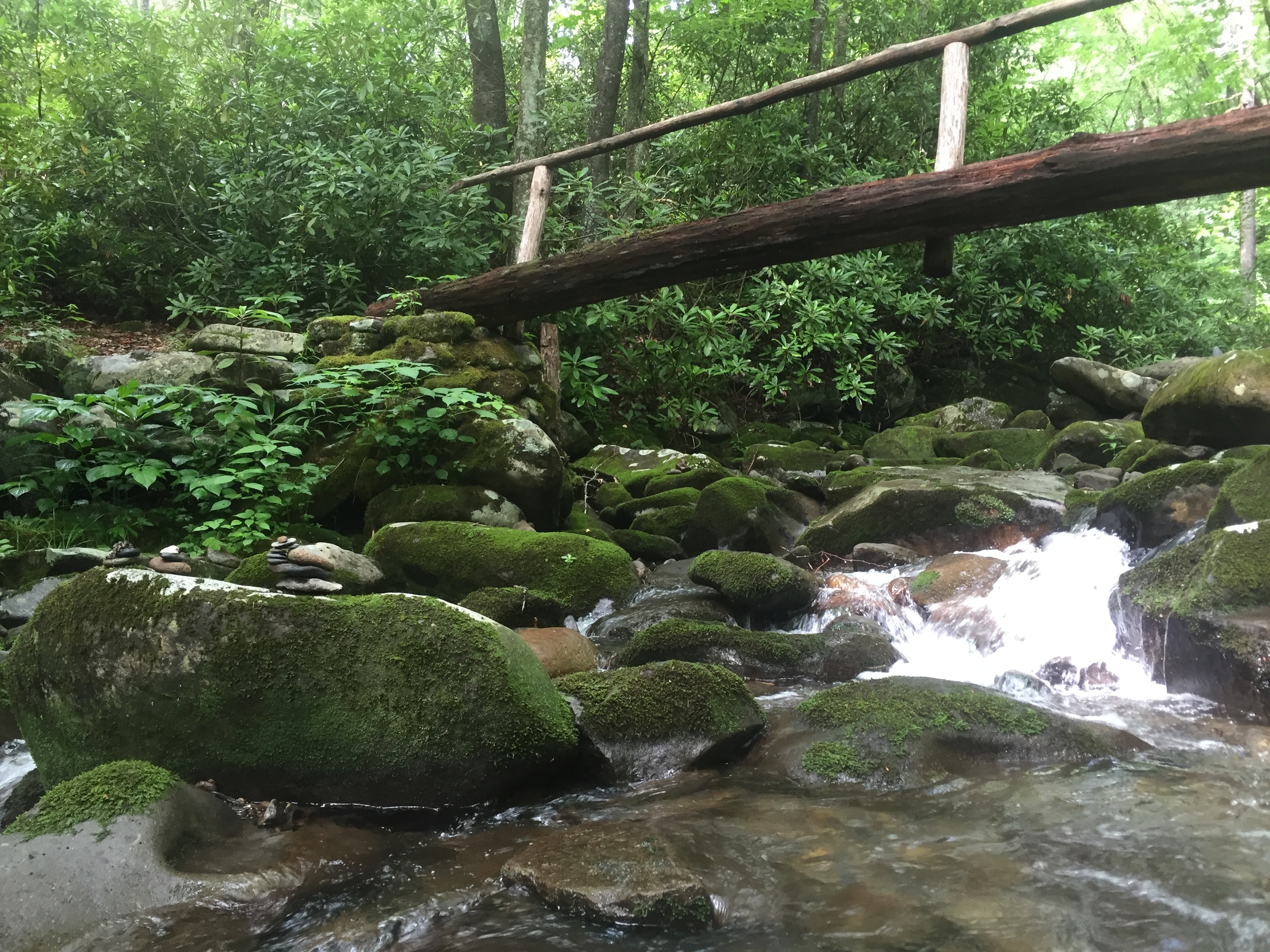 Looks like a great spot for a swim break to me!
