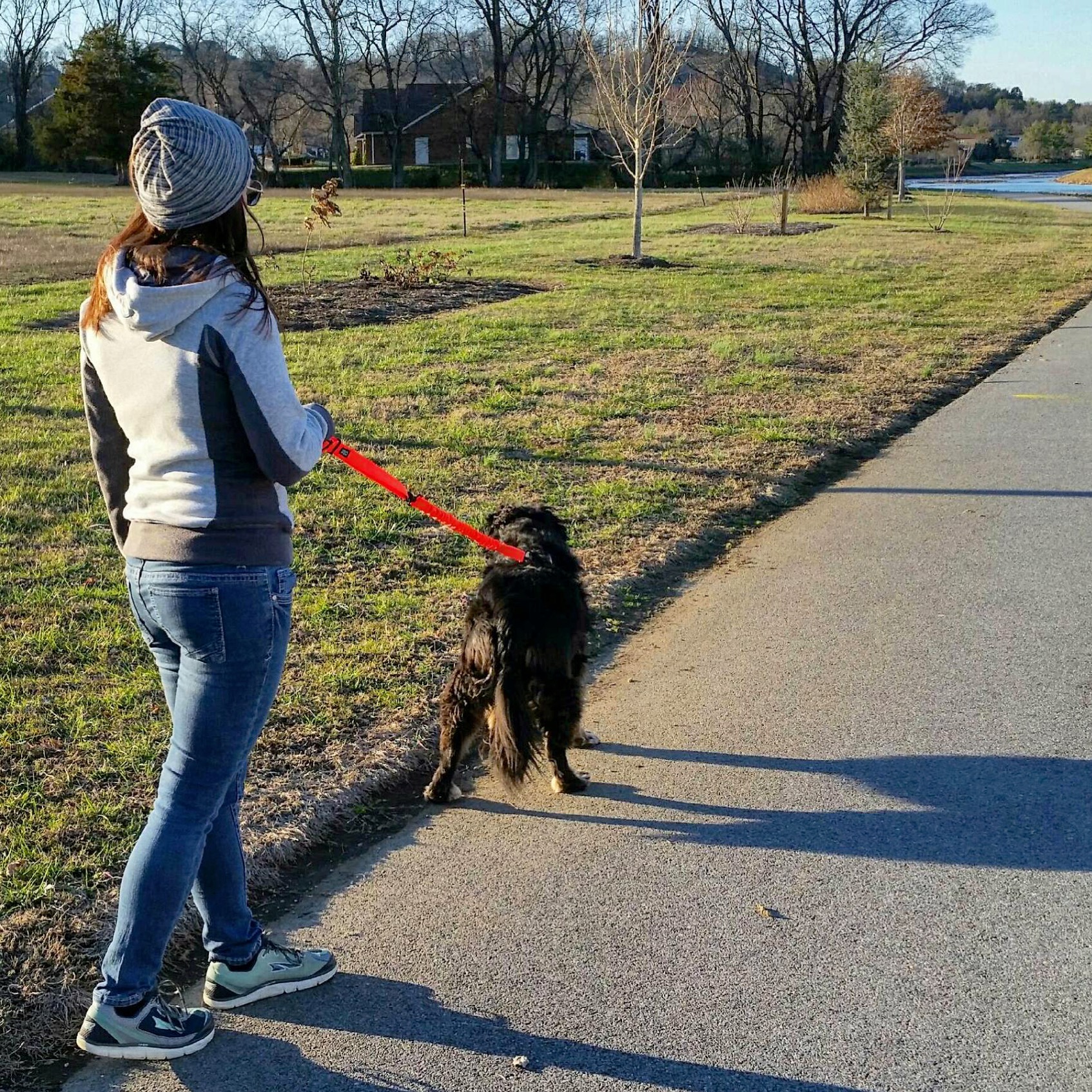 Going for the hand-held option when we're walking - it lets the leash be longer so she can get to all the things she wants to see!