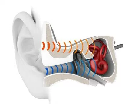 The orange lines represent where Aftershokz directs the sound versus the blue - where traditional headphones direct sound. 