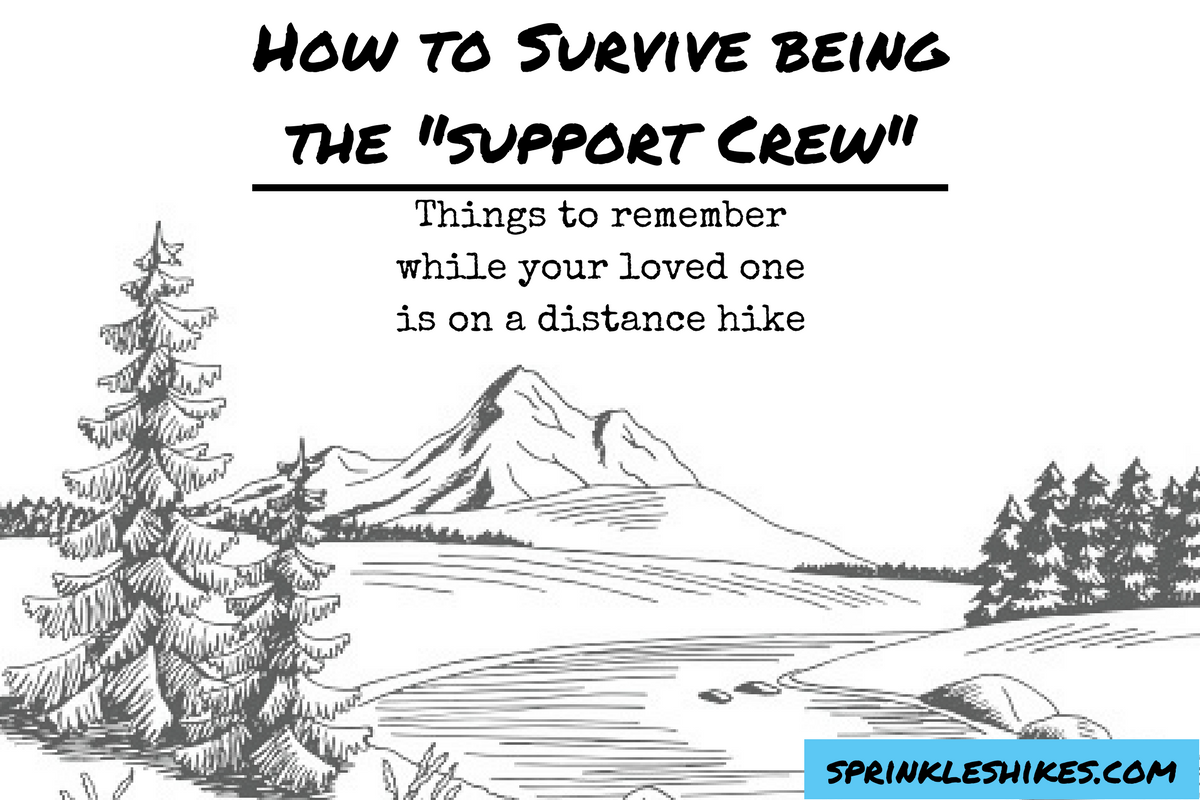 How to Survive beingthe _support Crew_.png