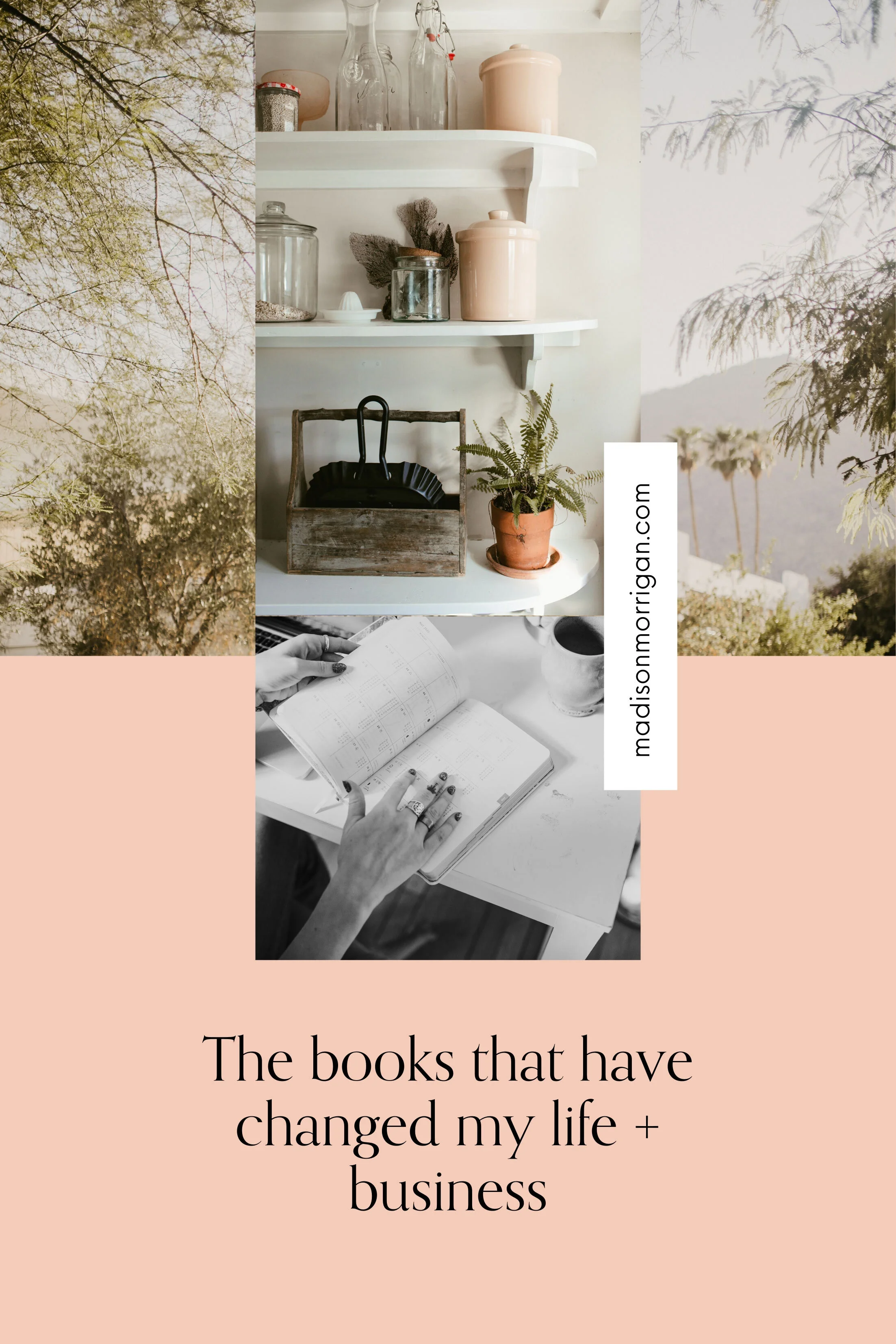 The books that have changed my life + business