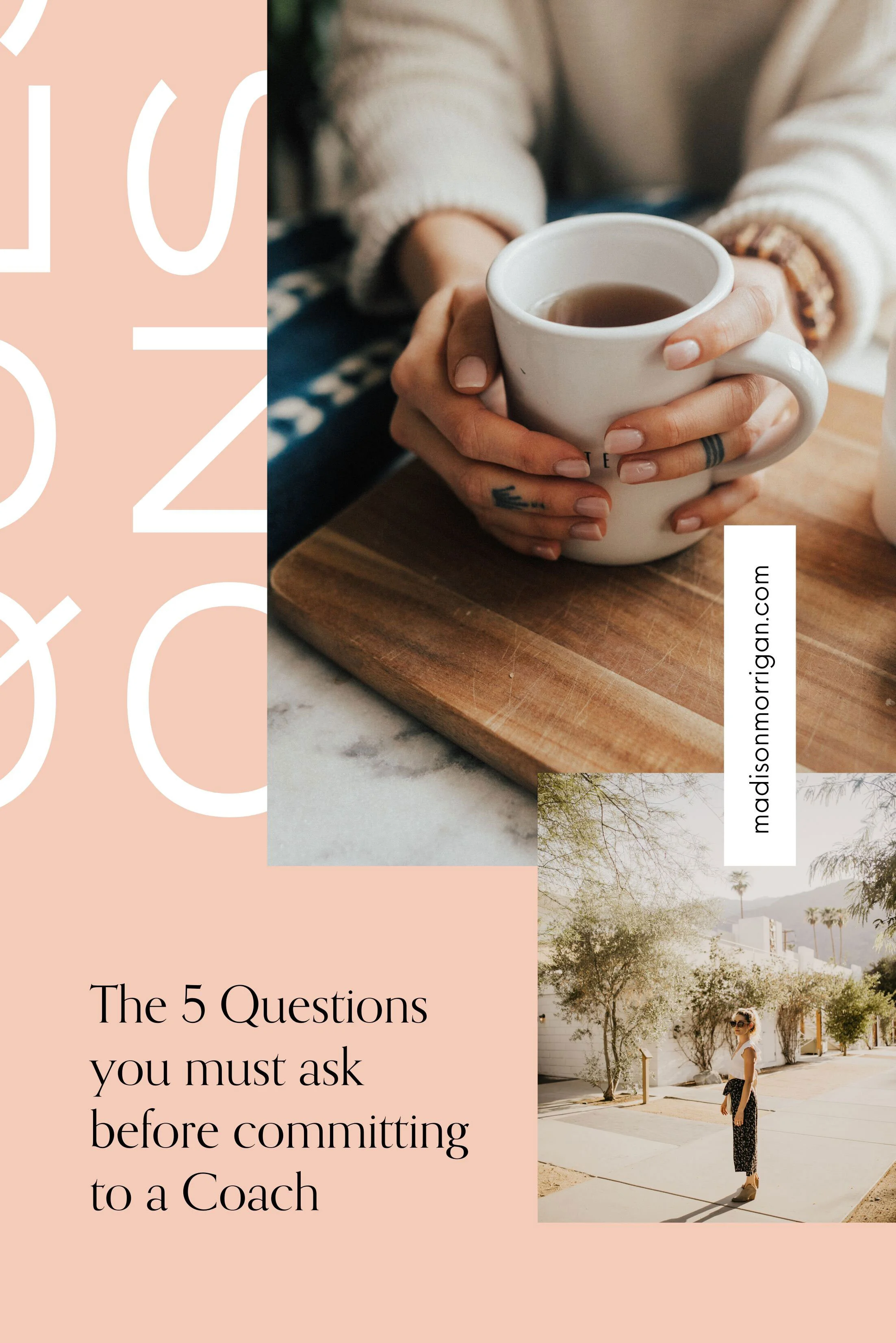 Searching for mentorship, coaching, or counseling? Here are the 5 Questions you must ask before committing to a Coach