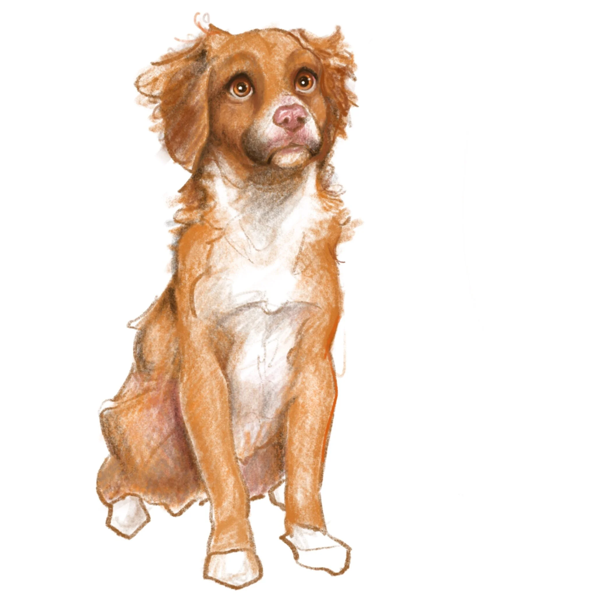 Ginny_Woof.jpg