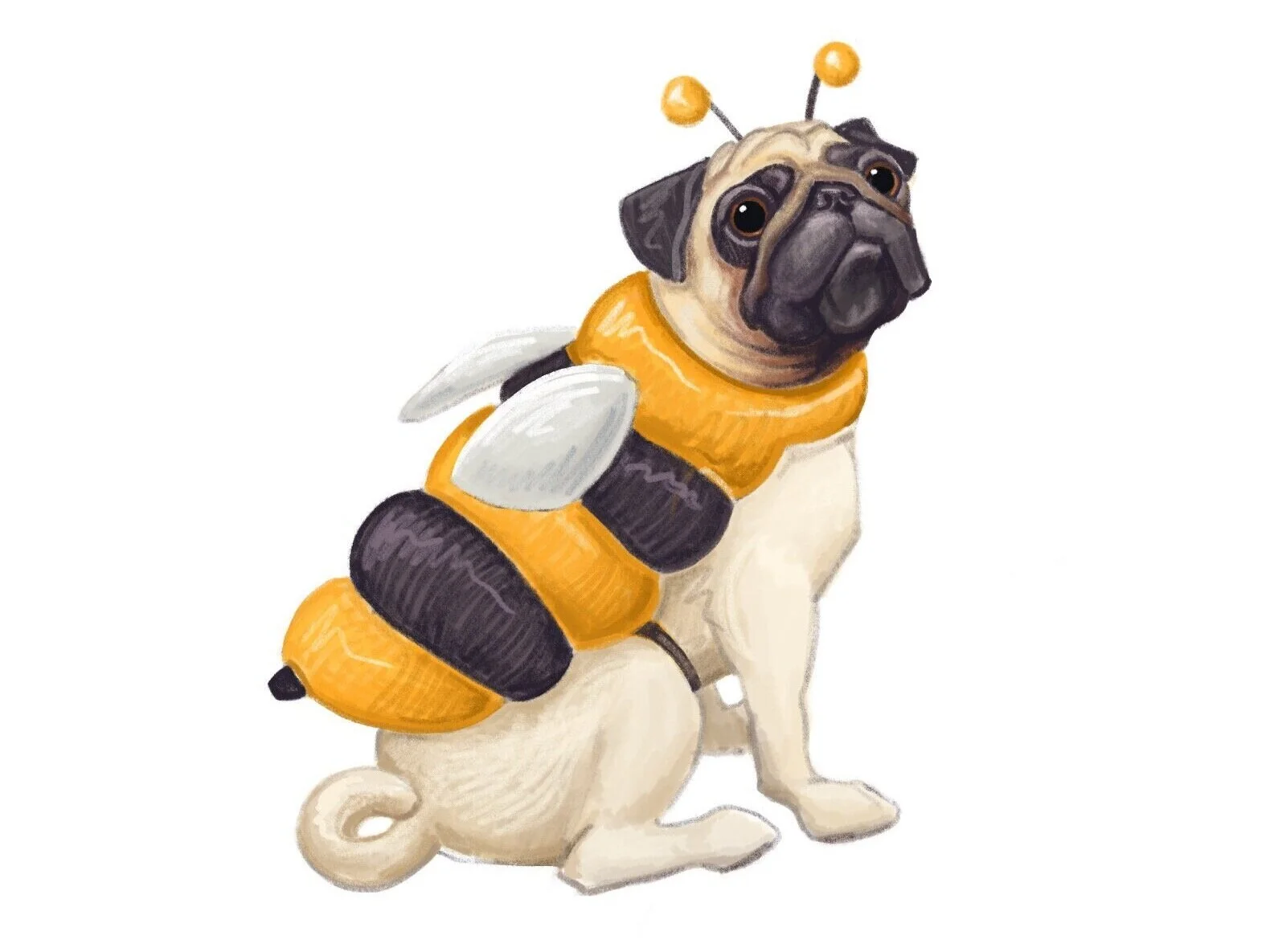 BumblePug.JPG