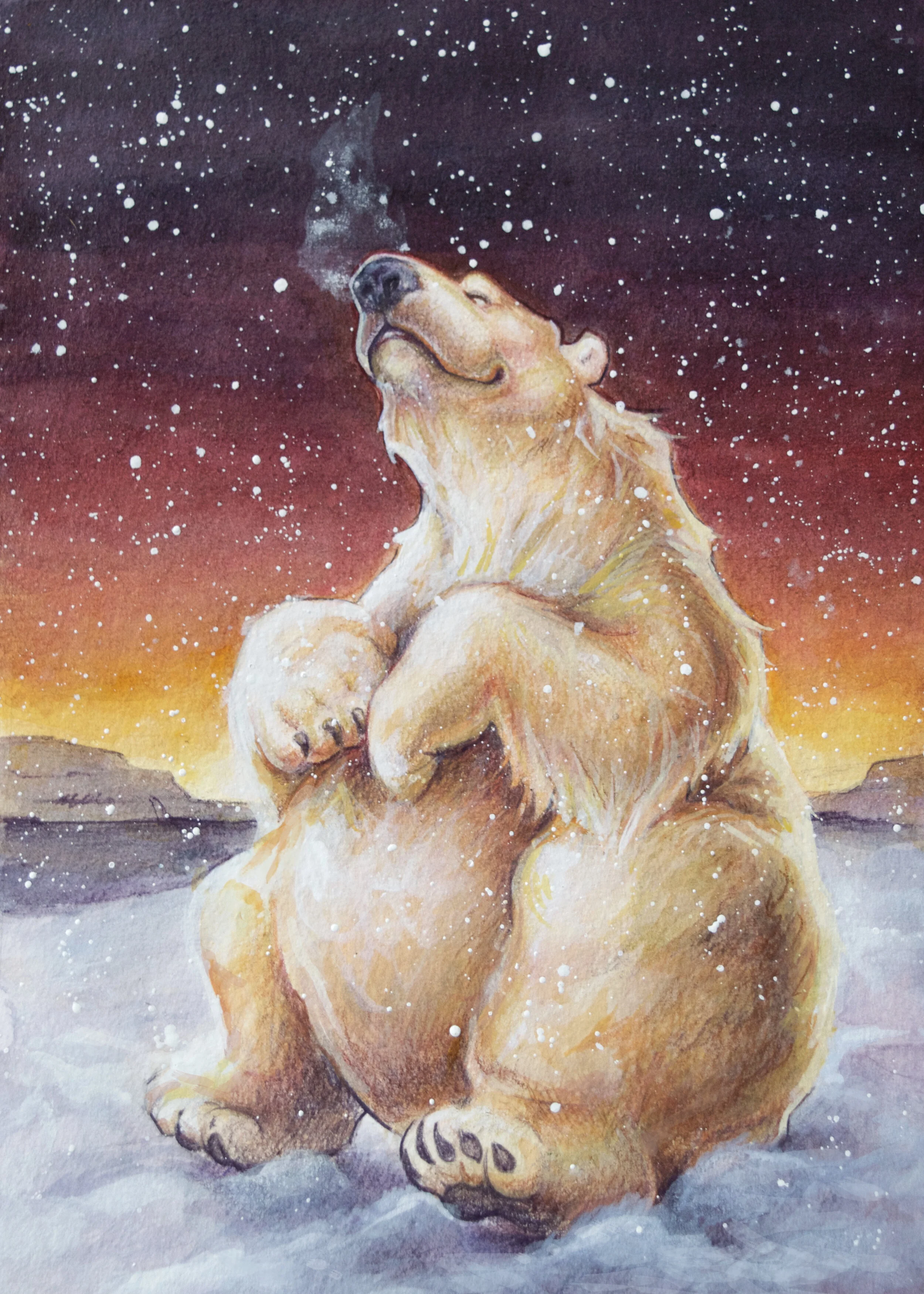 Polar Bear, Don't Care.jpg