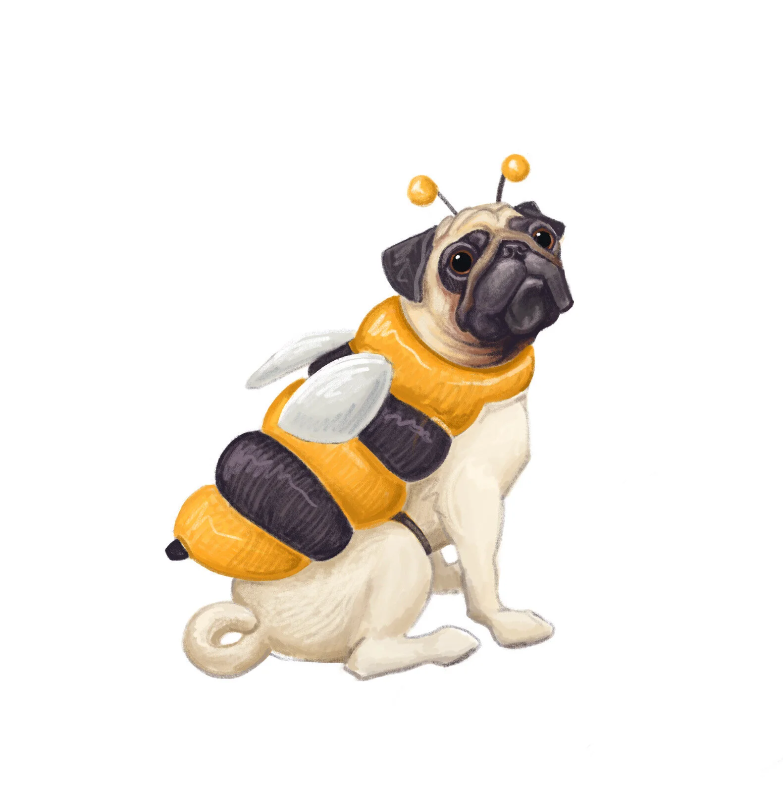 BumblePug.JPG