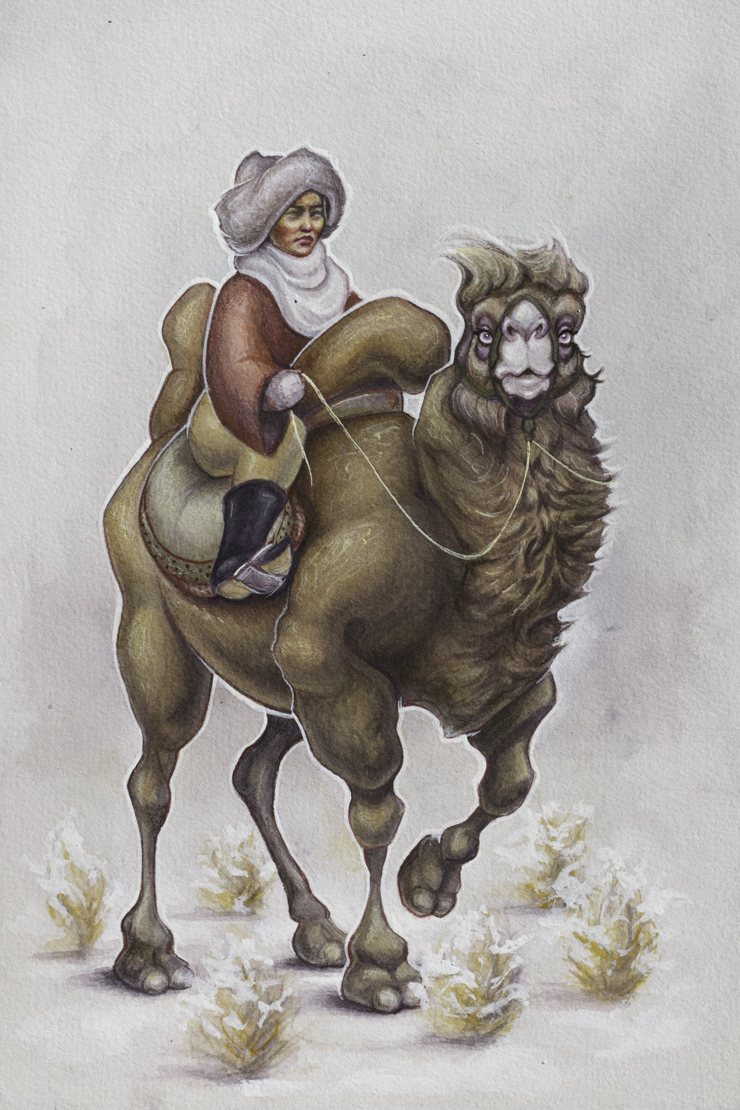Camel.jpg