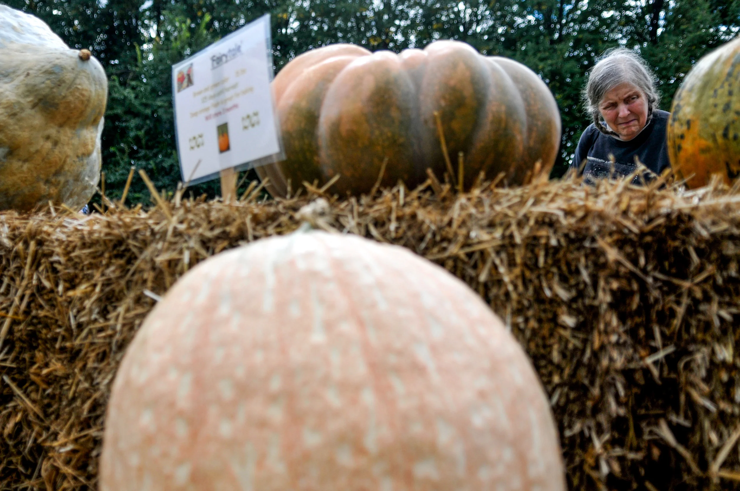 Nancy Rozycki, of Flint, compares and admires a variety of gourds and pumpkins during the 15th annual Fall Harvest Festival on Saturday, Sept. 24, 2016 at Applewood Estate in Flint.