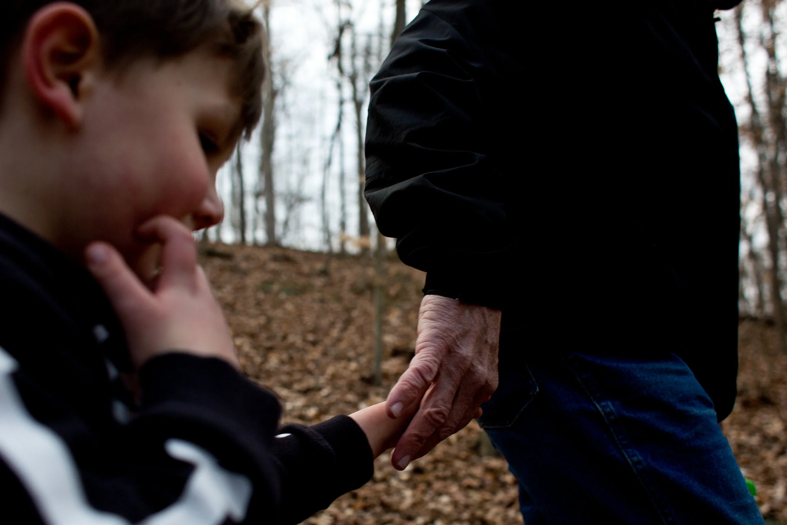 Lee Striegel of Jasper held the hand of his great-grandson Greyson Denton of Huntingburg, 3, as they hiked along the trail during the Cabin Fever Hike at Ferdinand State Forest in Ferdinand.