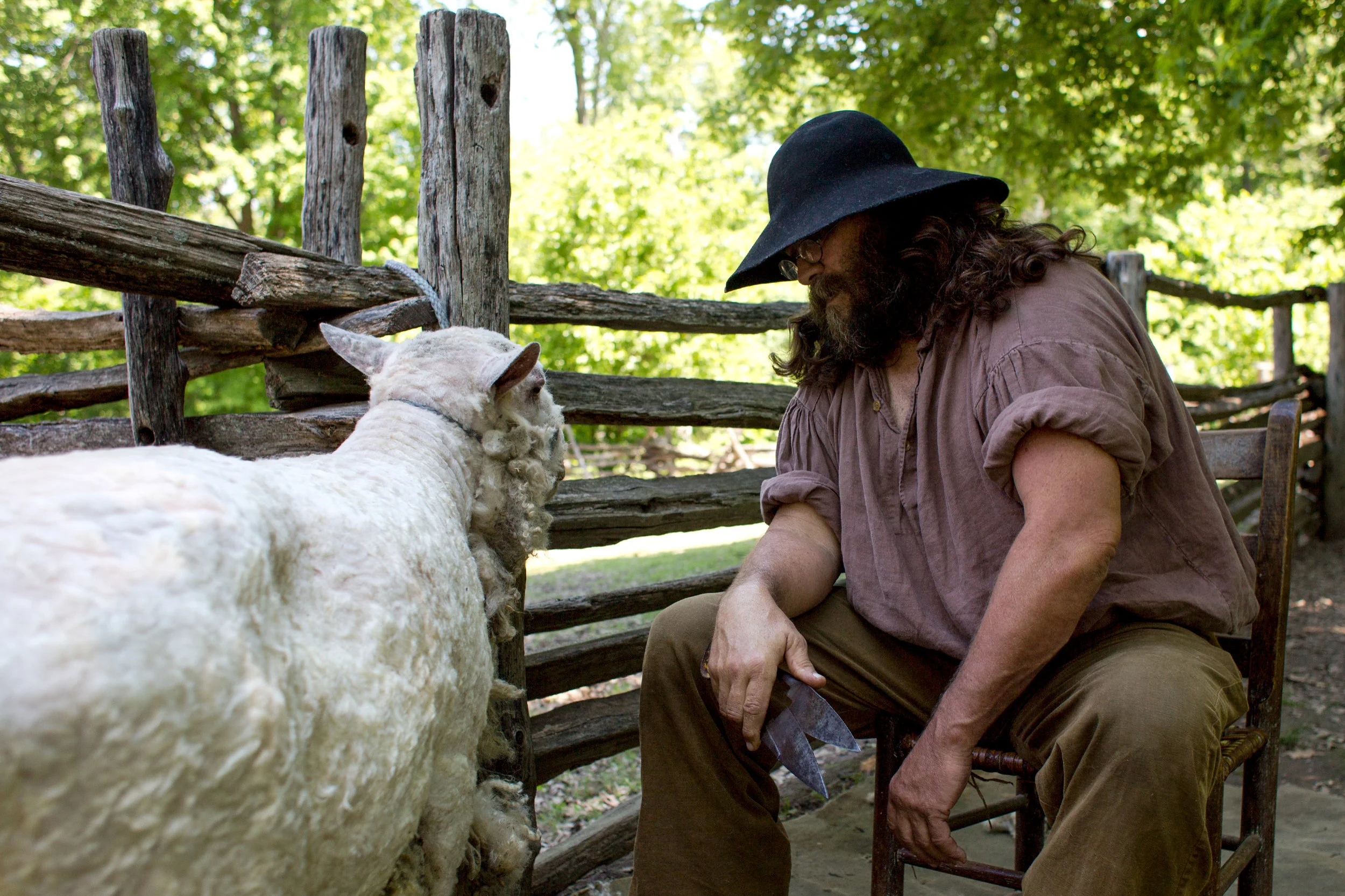 Lincoln Boyhood National Memorial Park Ranger Bob Zimmerman of Lincoln City took a break from shearing Bernie, a Leicester long-wool sheep, at the living historical farm Saturday in Lincoln City. Zimmerman and others spent the morning shearing one of the farm’s five adult sheep and cleaning his wool to be spun into yarn. The farm plans to shear the remaining four sheep over the next few weekends if the weather permits.