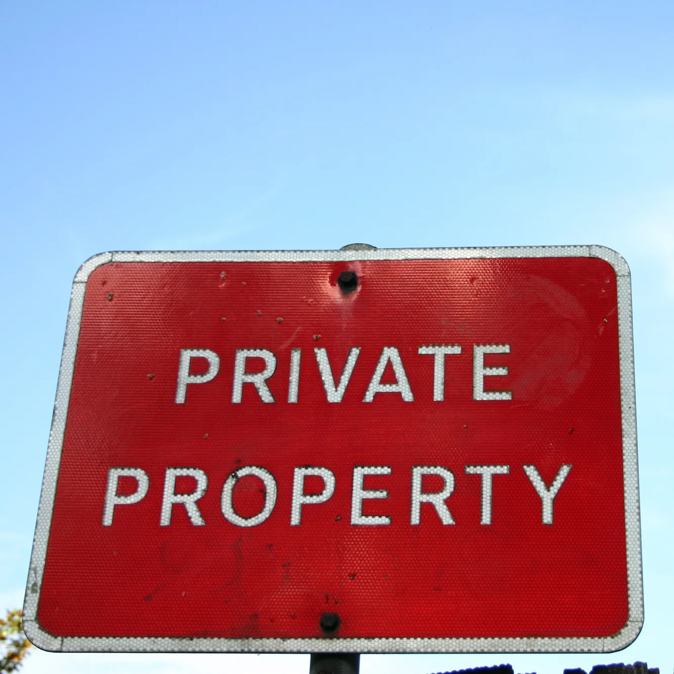 Privatize All Education!