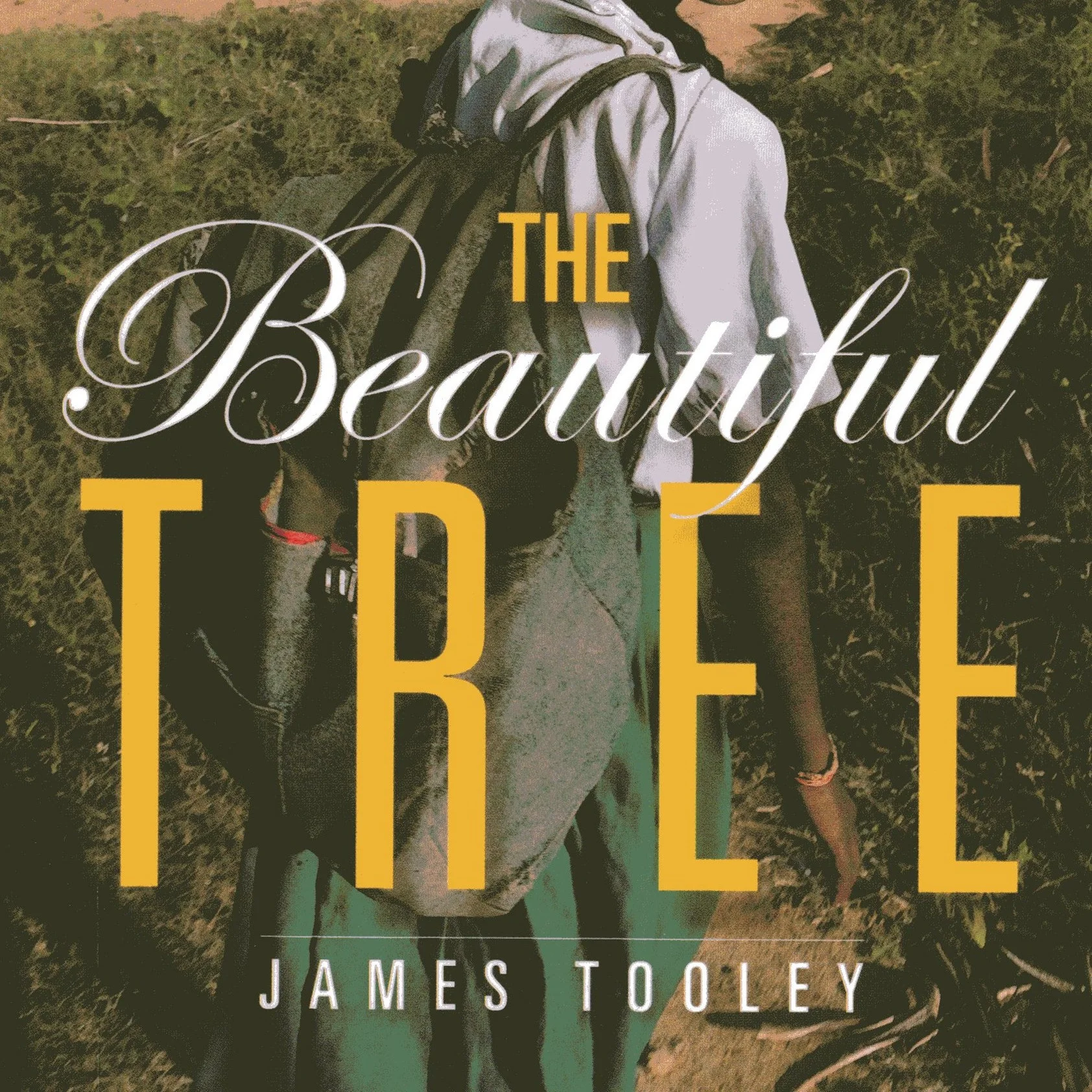 Private Schools Are Thriving Among the World’s Poor (The Beautiful Tree)