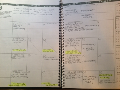 A Sneak Peak of my July Social Media Calendar