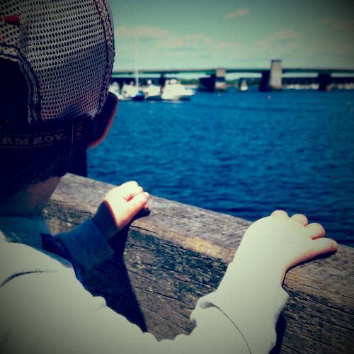 20150522_113254.jpg