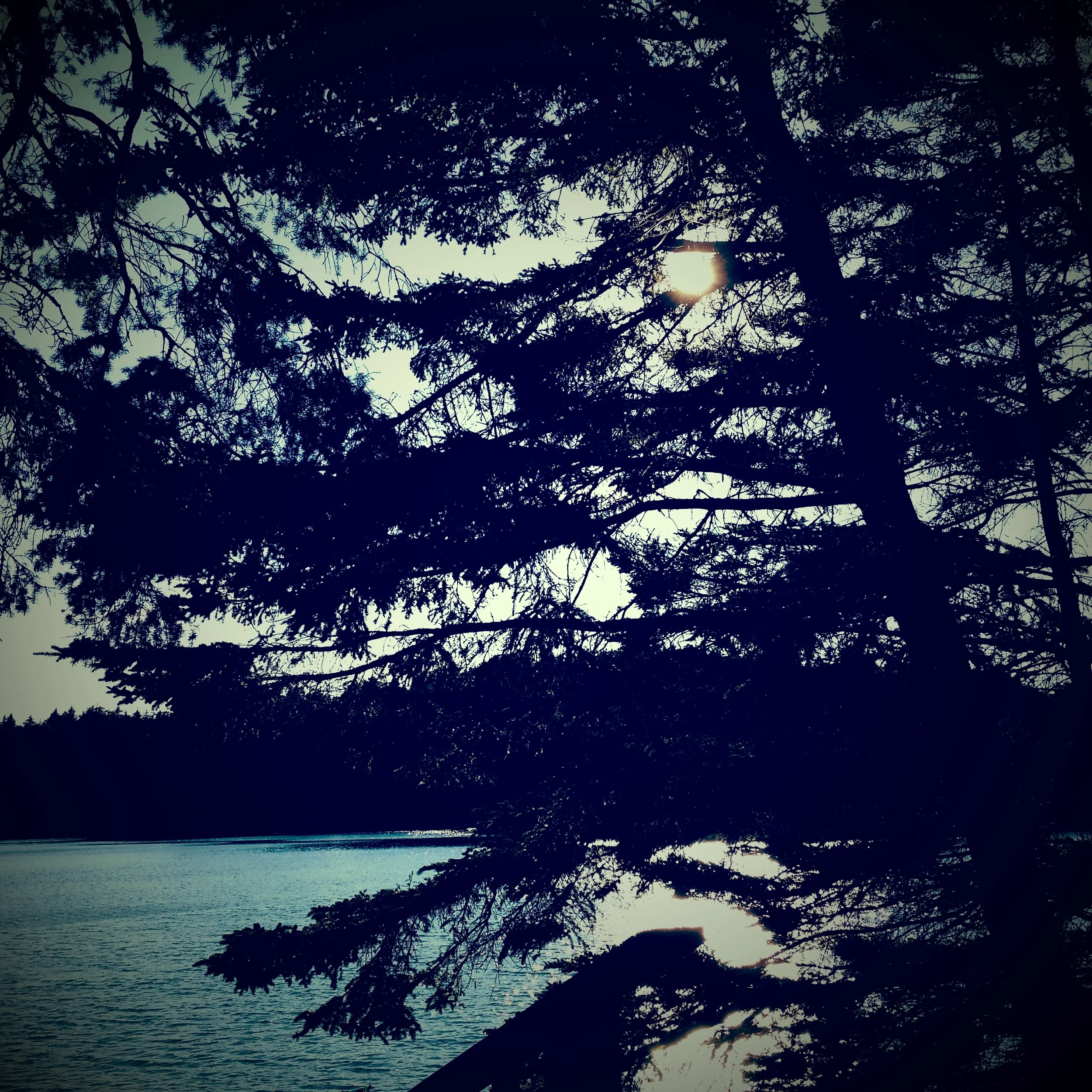 HOW TO KEEP AN ECO FRIENDLY HOME WITH A TODDLER, A BABY, AND A BUSINESS