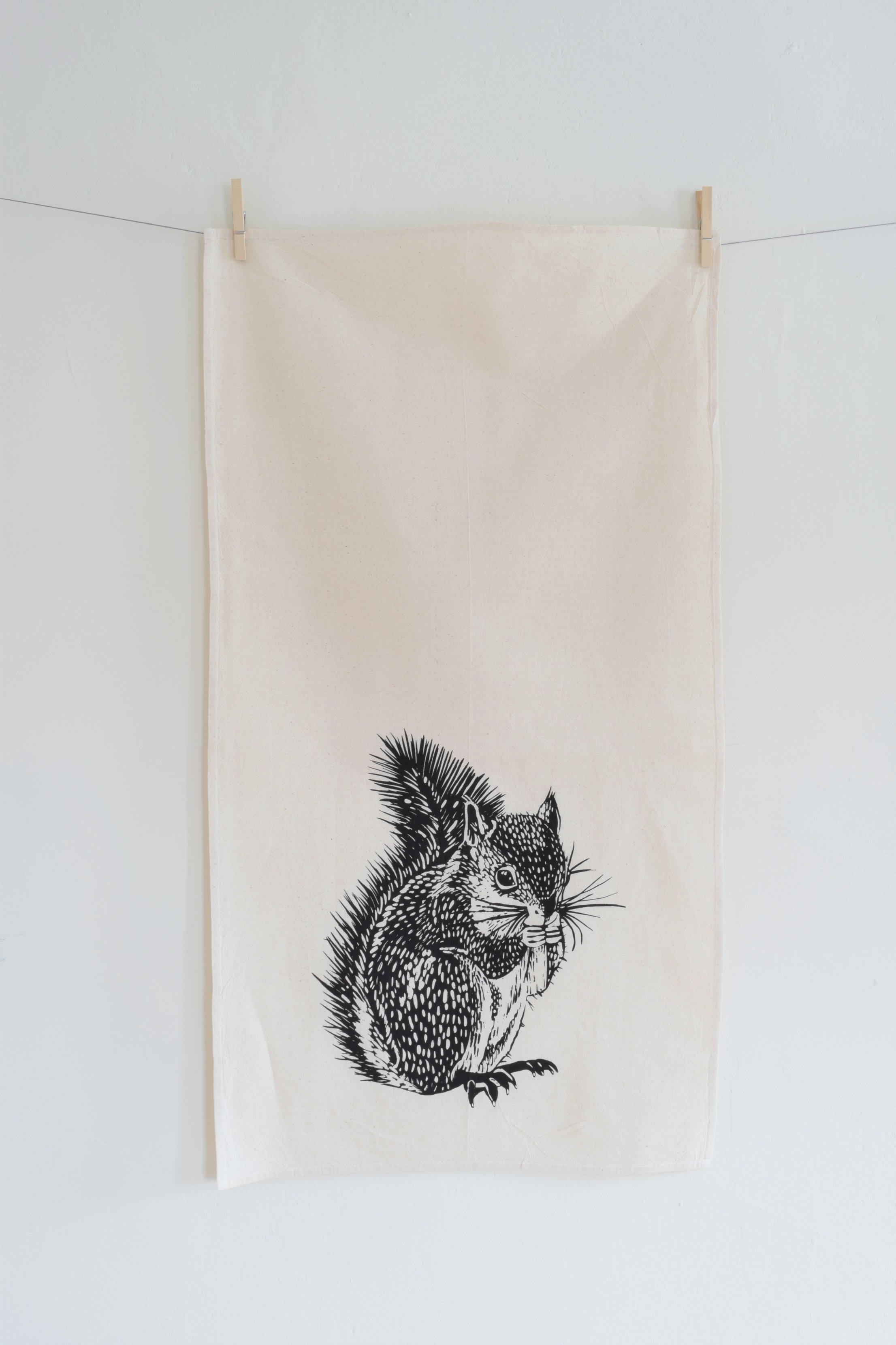 blacksquirrelweb1.jpg