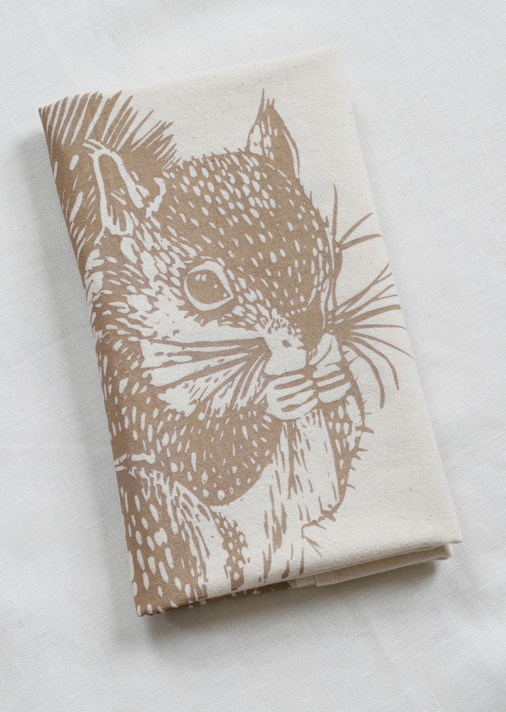brownsquirrelweb2.jpg