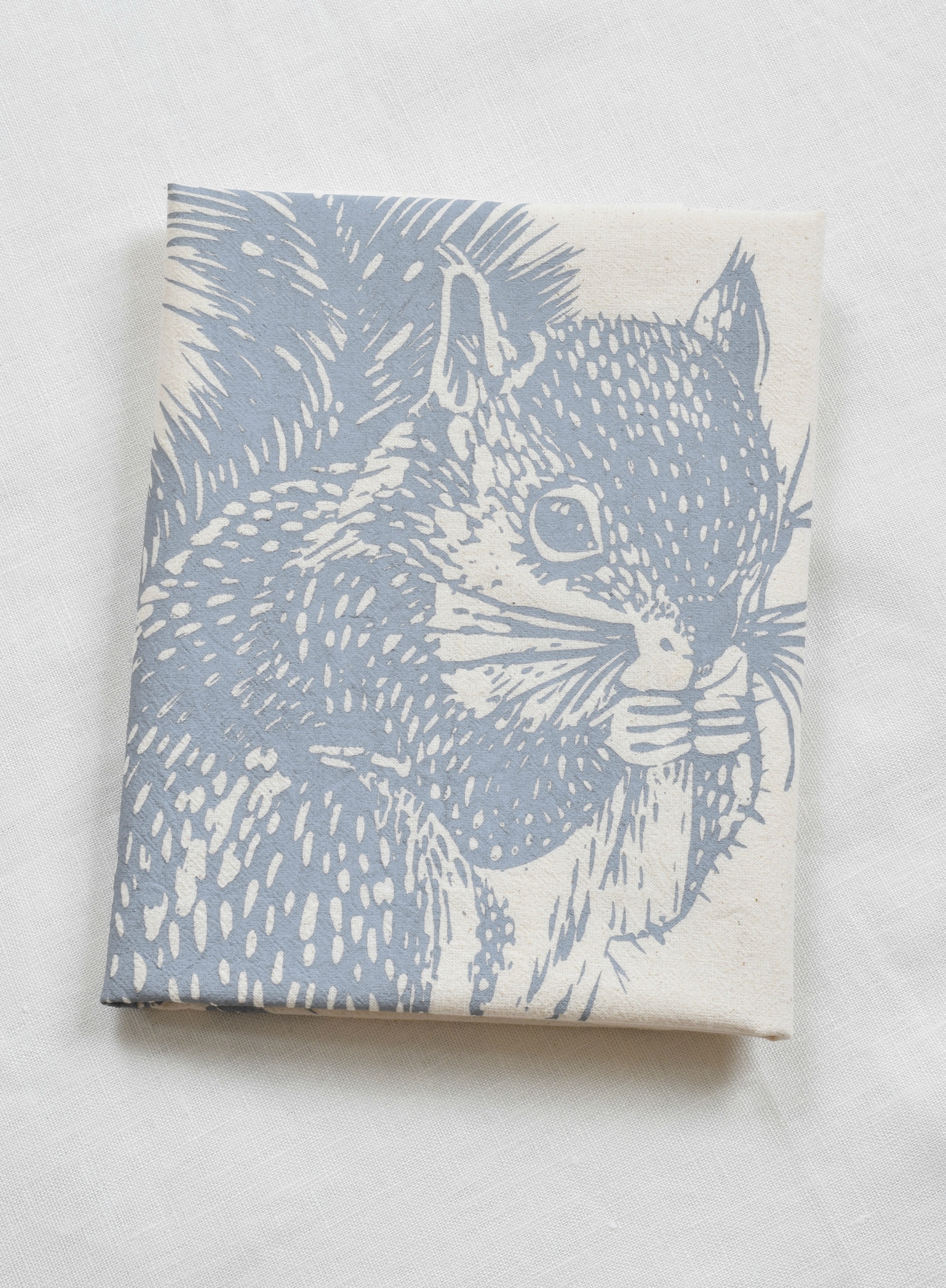greysquirrelweb2.jpg