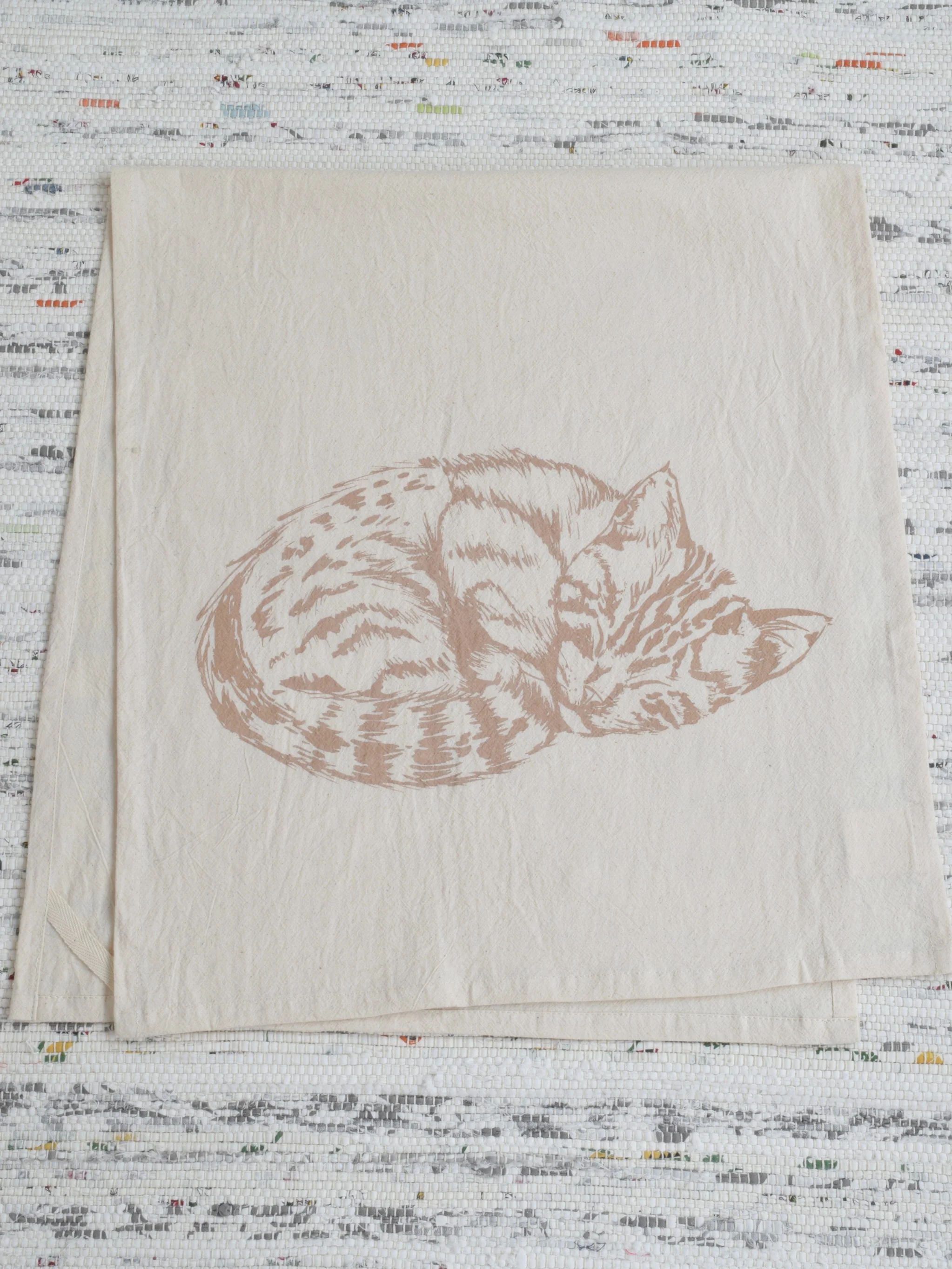 mochacat1.jpg
