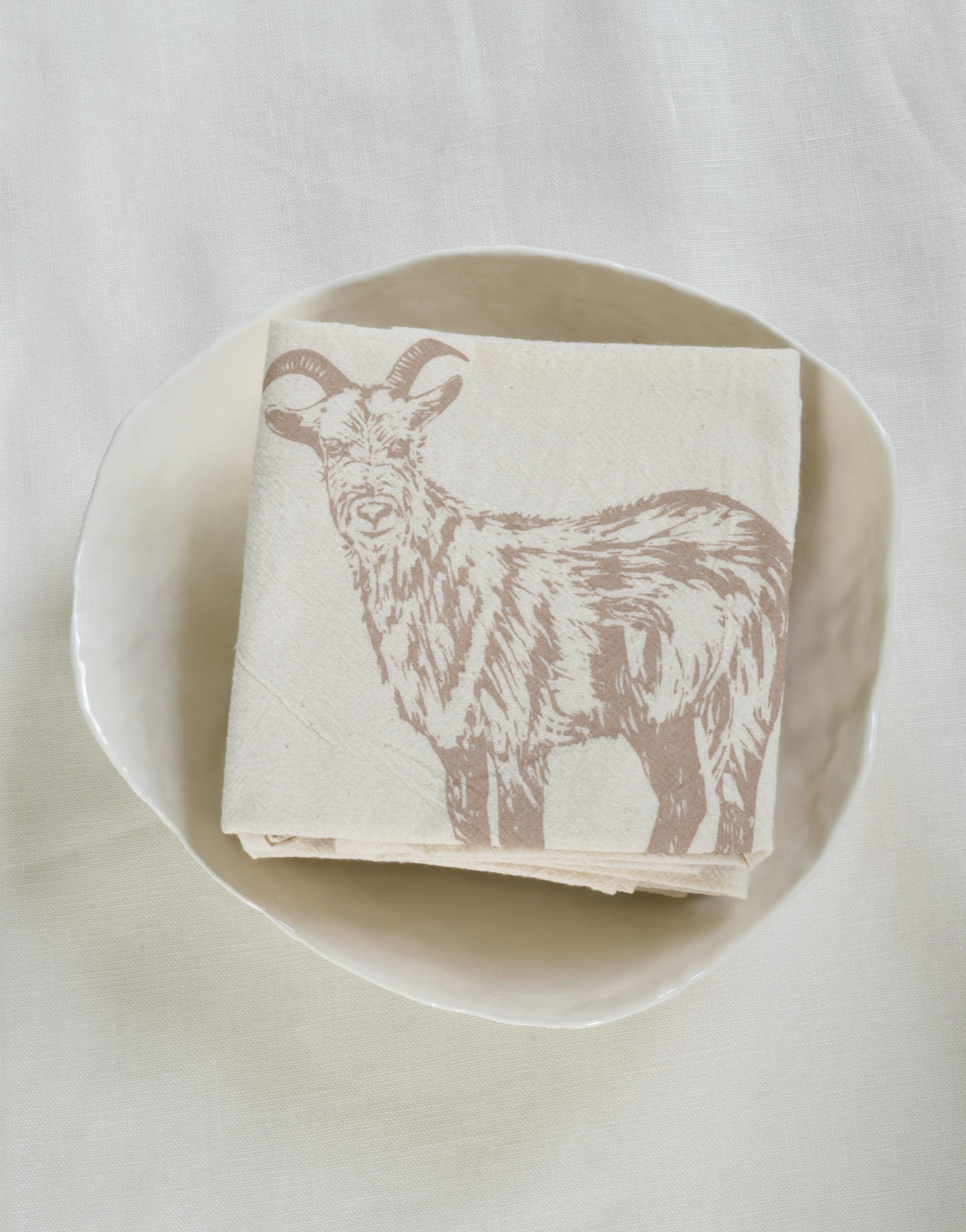 mochagoat1.jpg