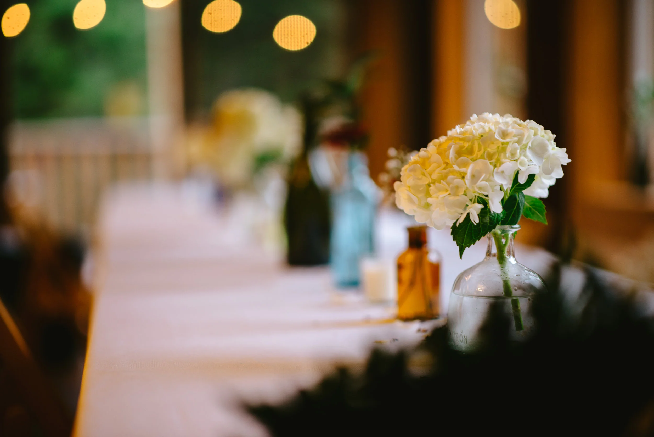 kirschphotography-10 2.jpg