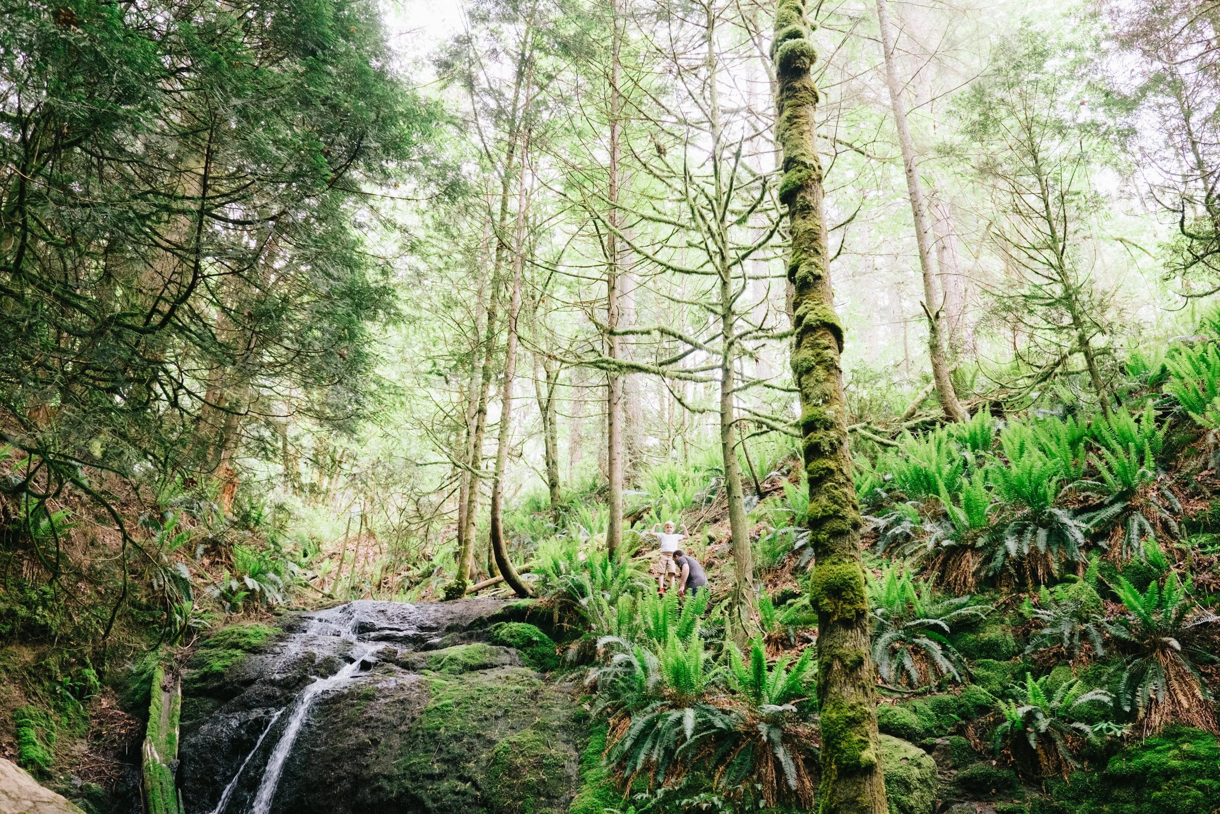 kirschphotography-13.jpg